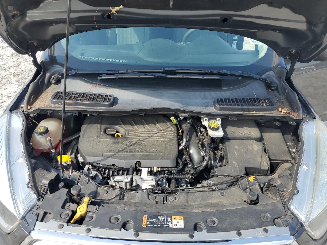 Ford Escape Se