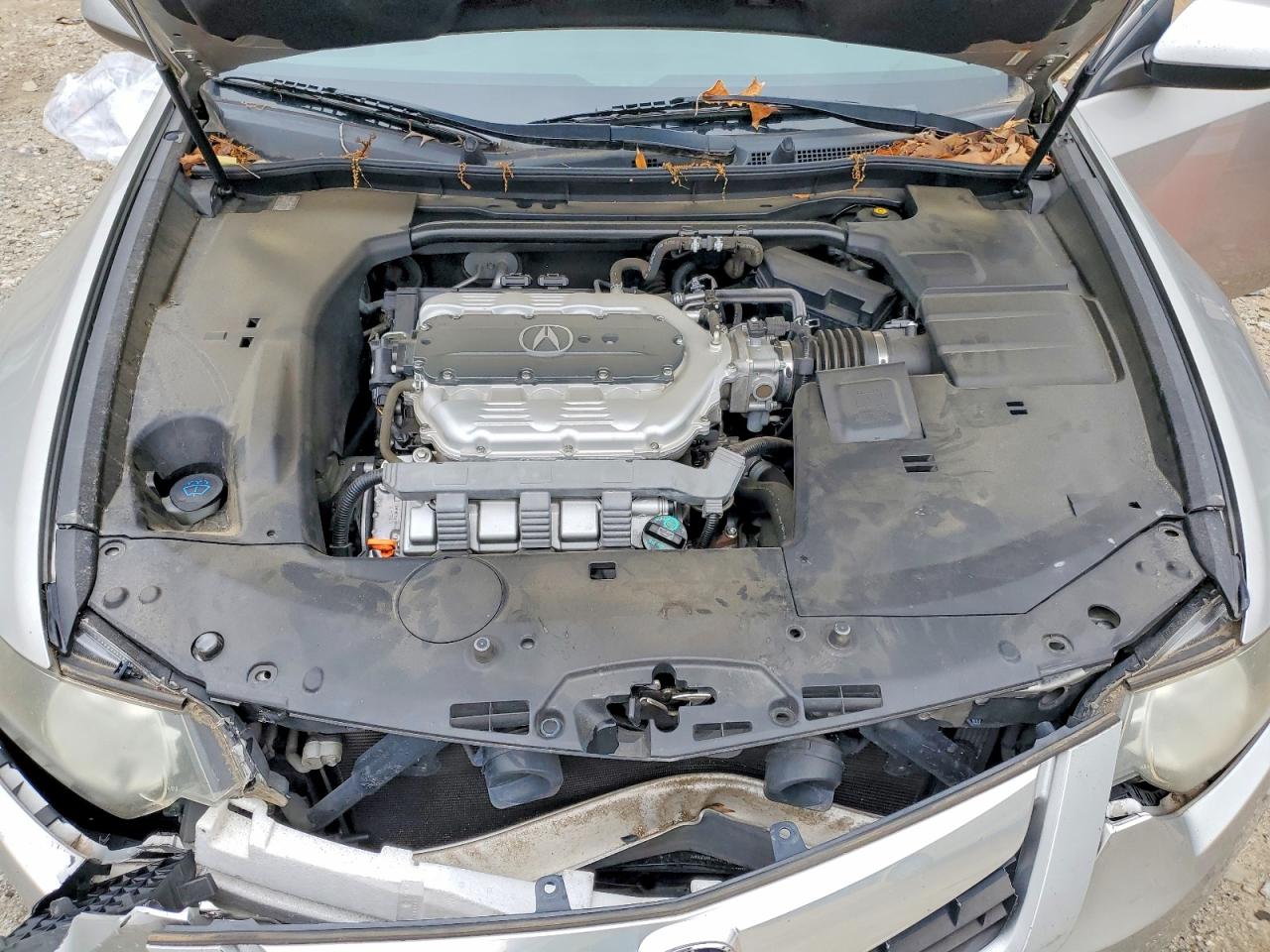 Acura TSX