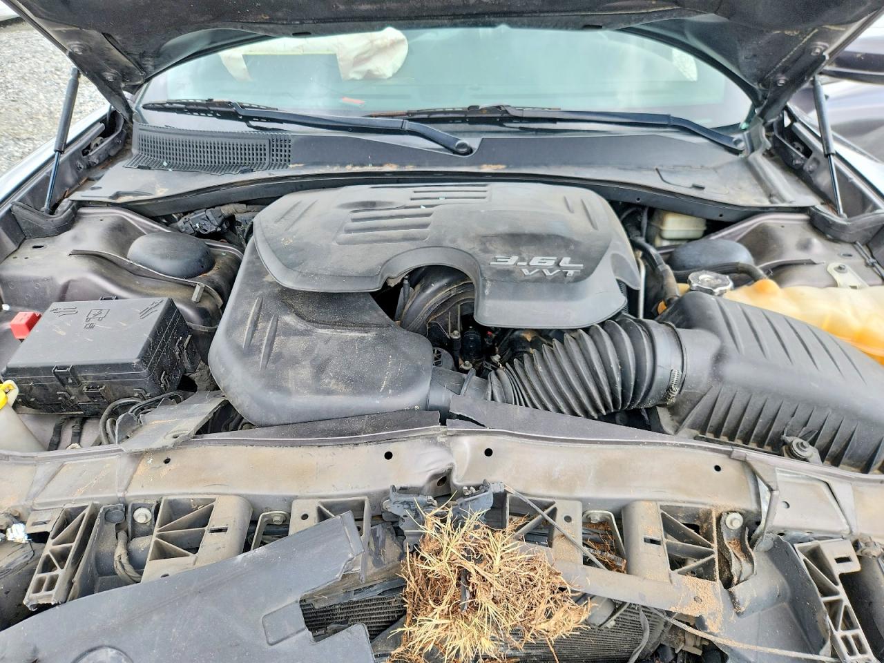 Dodge Charger Se