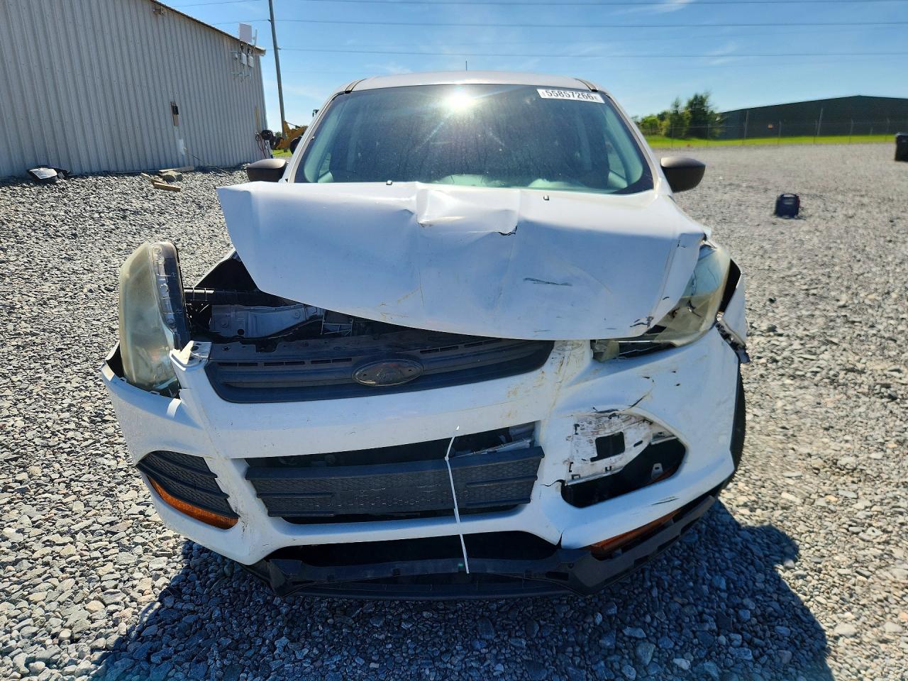 Ford Escape S
