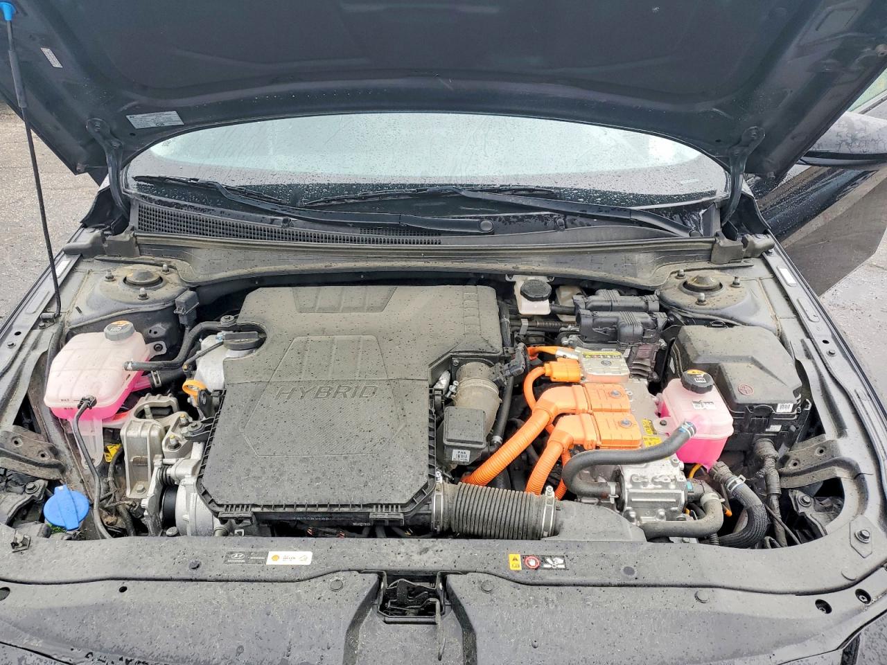 Hyundai ELANTRA Blue