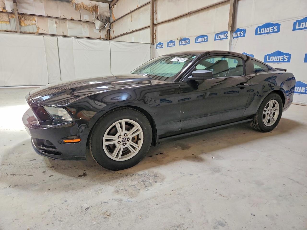 Salvage Ford Mustang Image