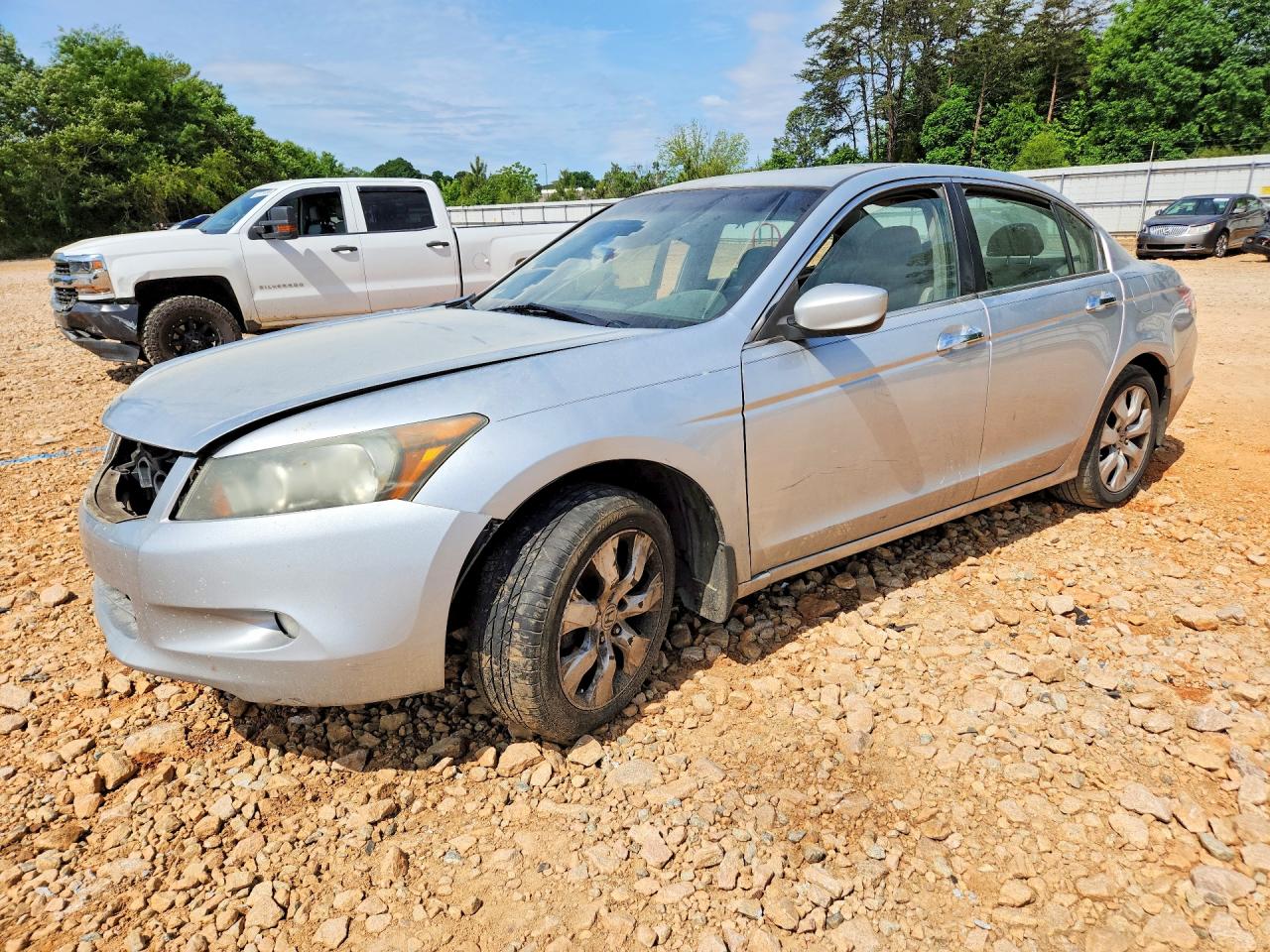 Salvage Honda Accord Image