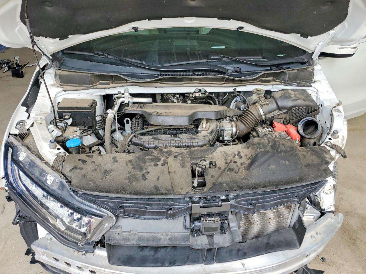 Honda Odyssey Elite