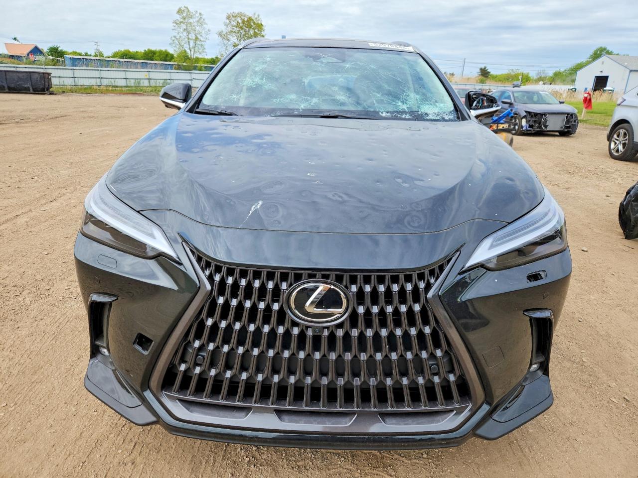 Lexus NX Luxury