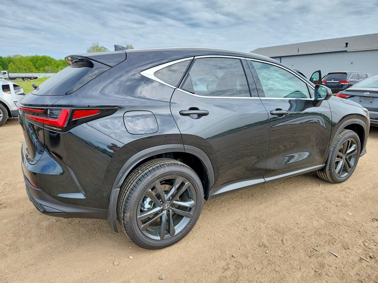 Lexus NX Luxury