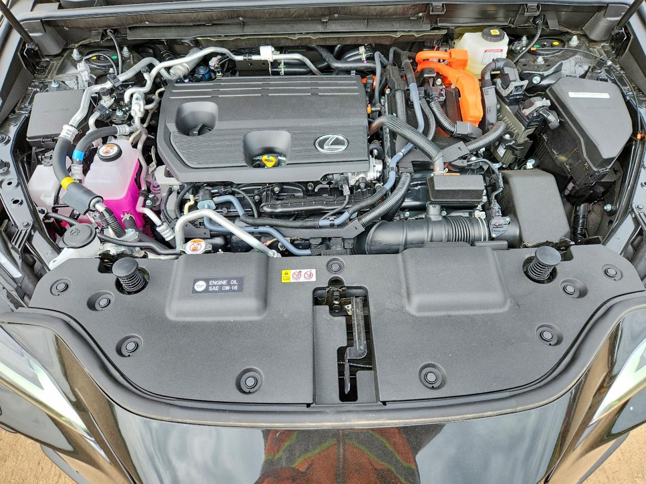 Lexus NX Luxury