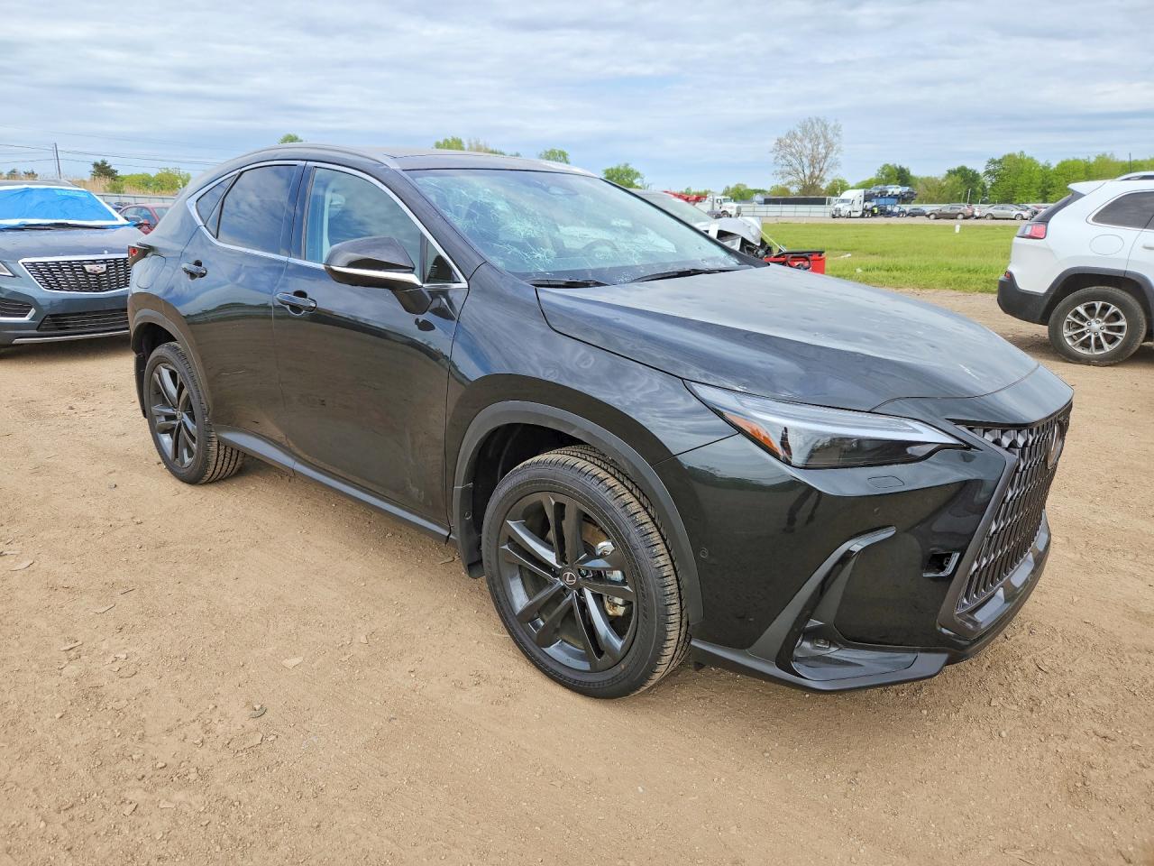 Lexus NX Luxury