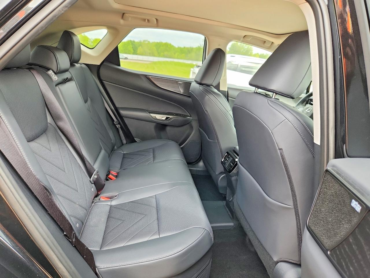 Lexus NX Luxury