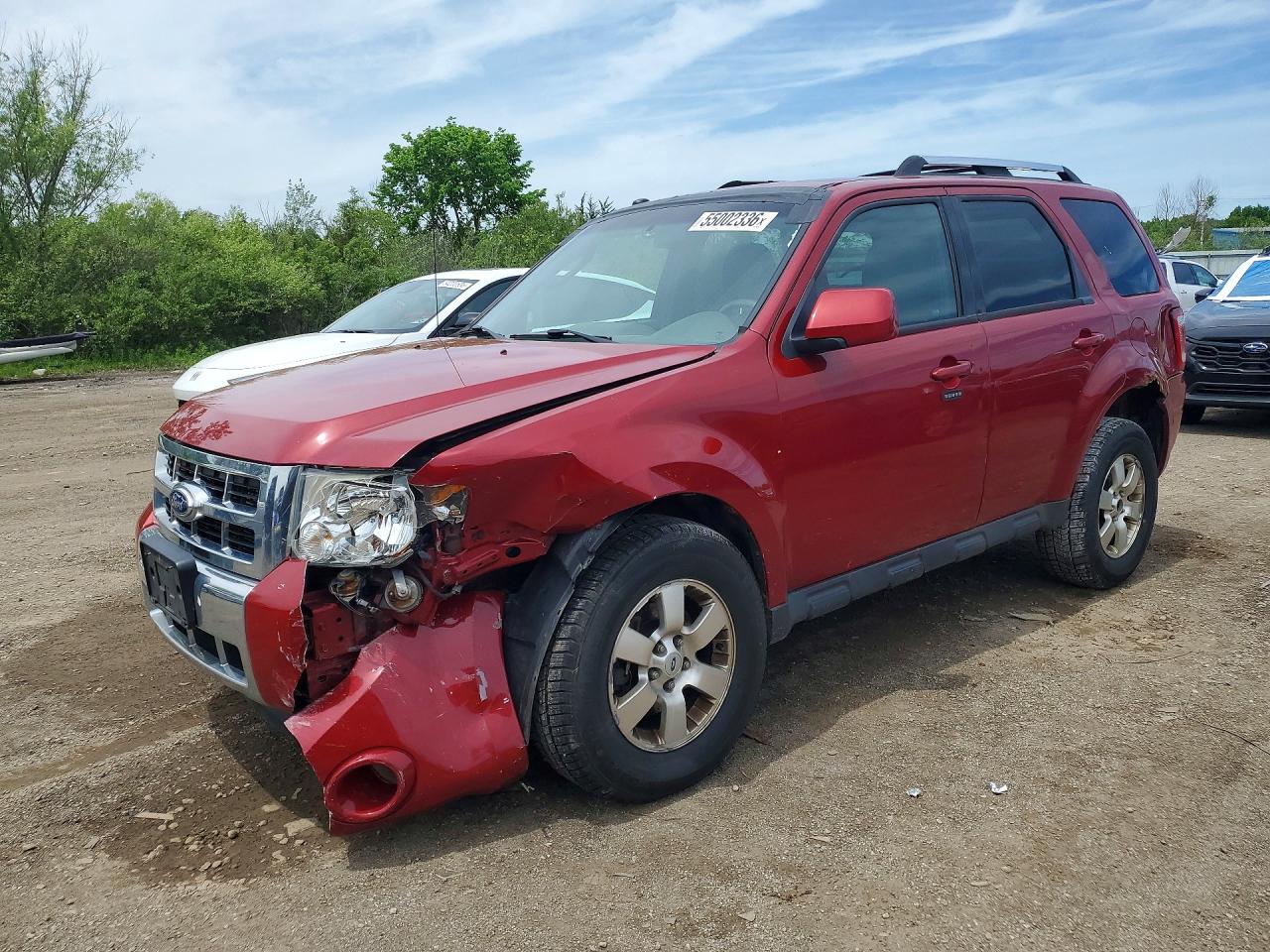 Salvage Ford Escape Image
