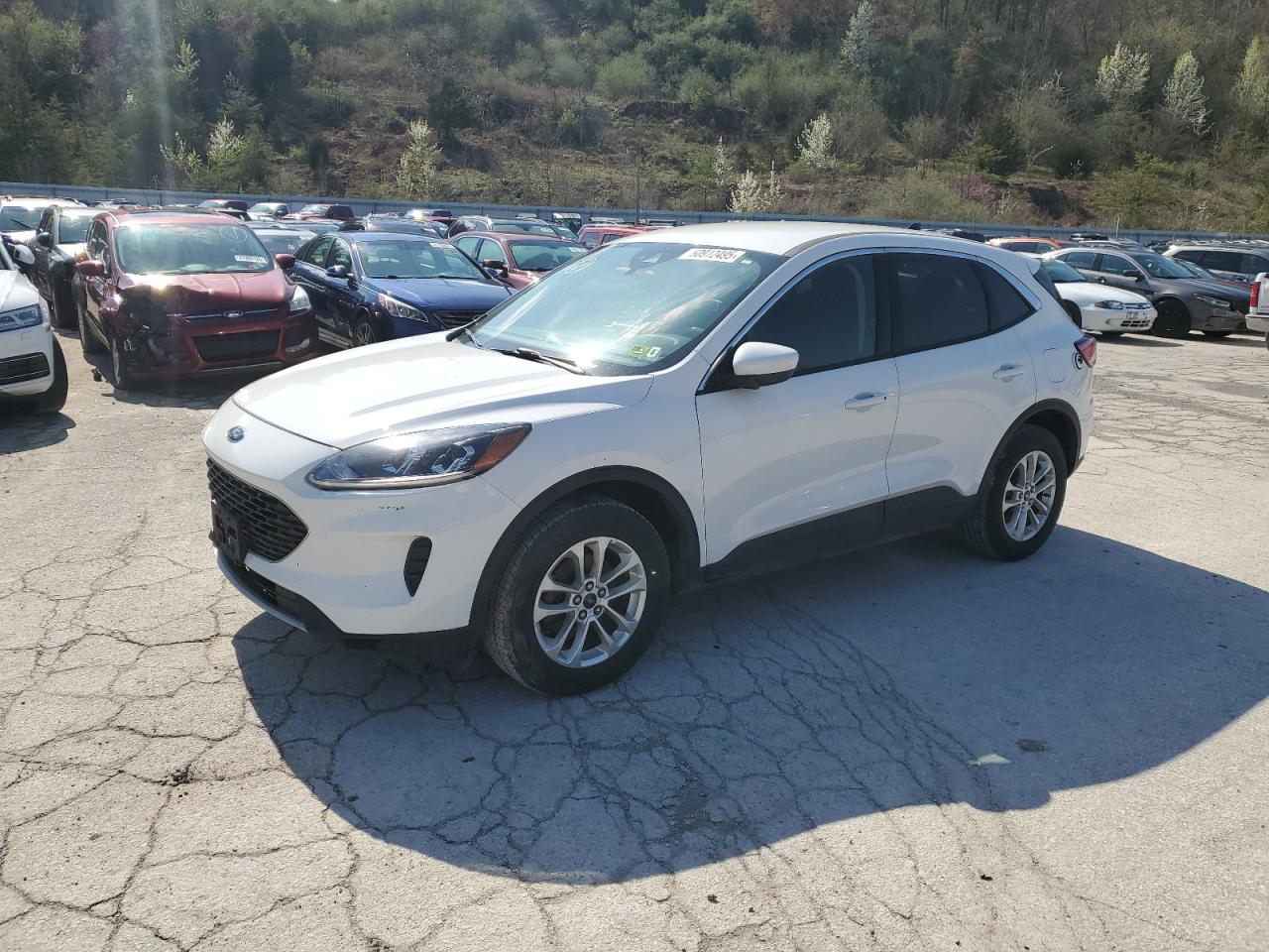 Salvage Ford Escape Image