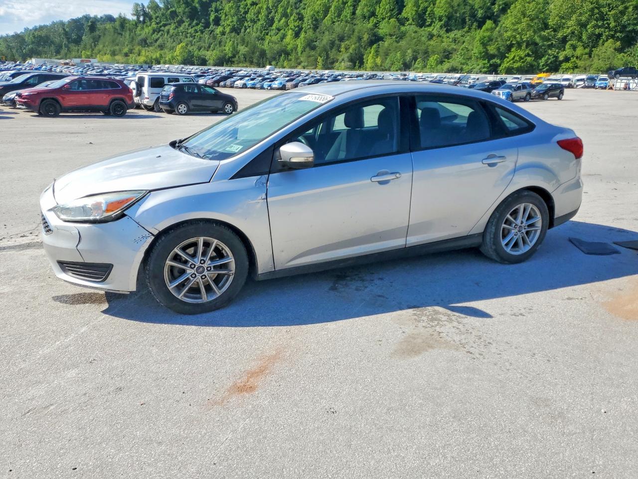 Salvage Ford Focus Image