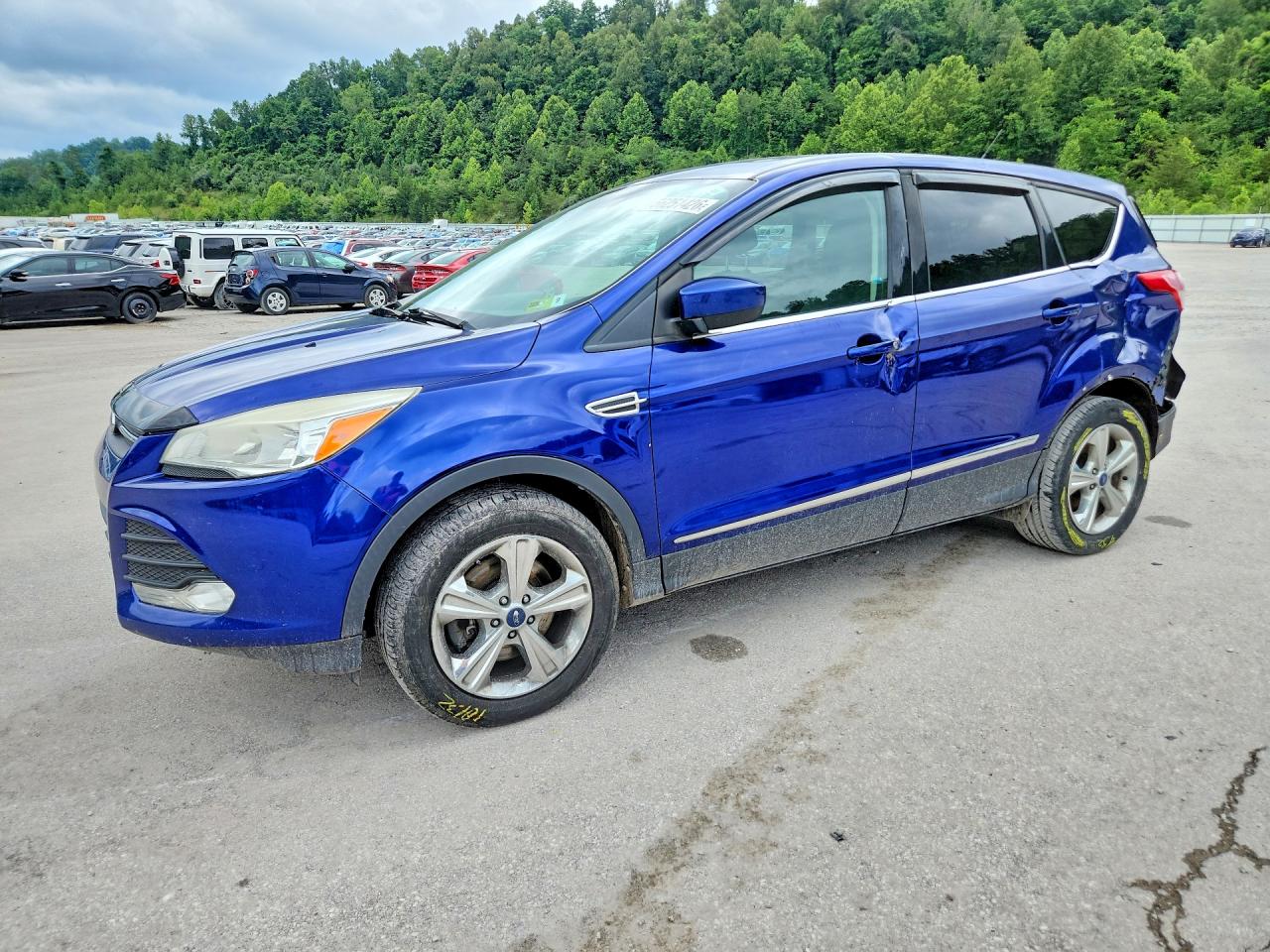 Salvage Ford Escape Image