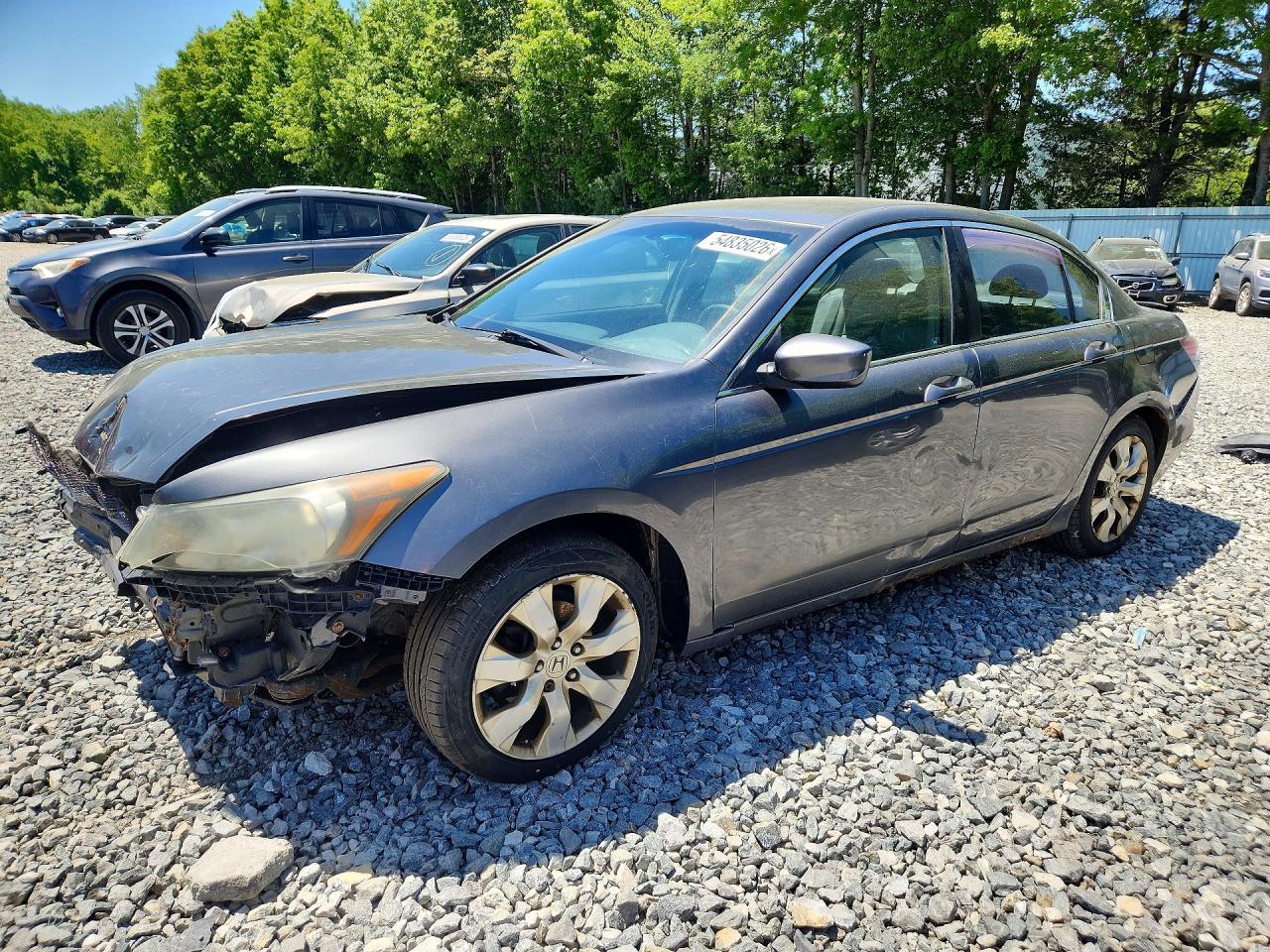 Salvage Honda Accord Image