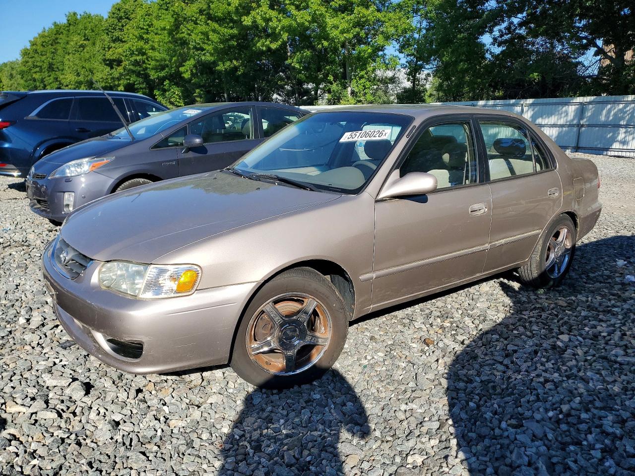 Salvage Toyota Corolla Image
