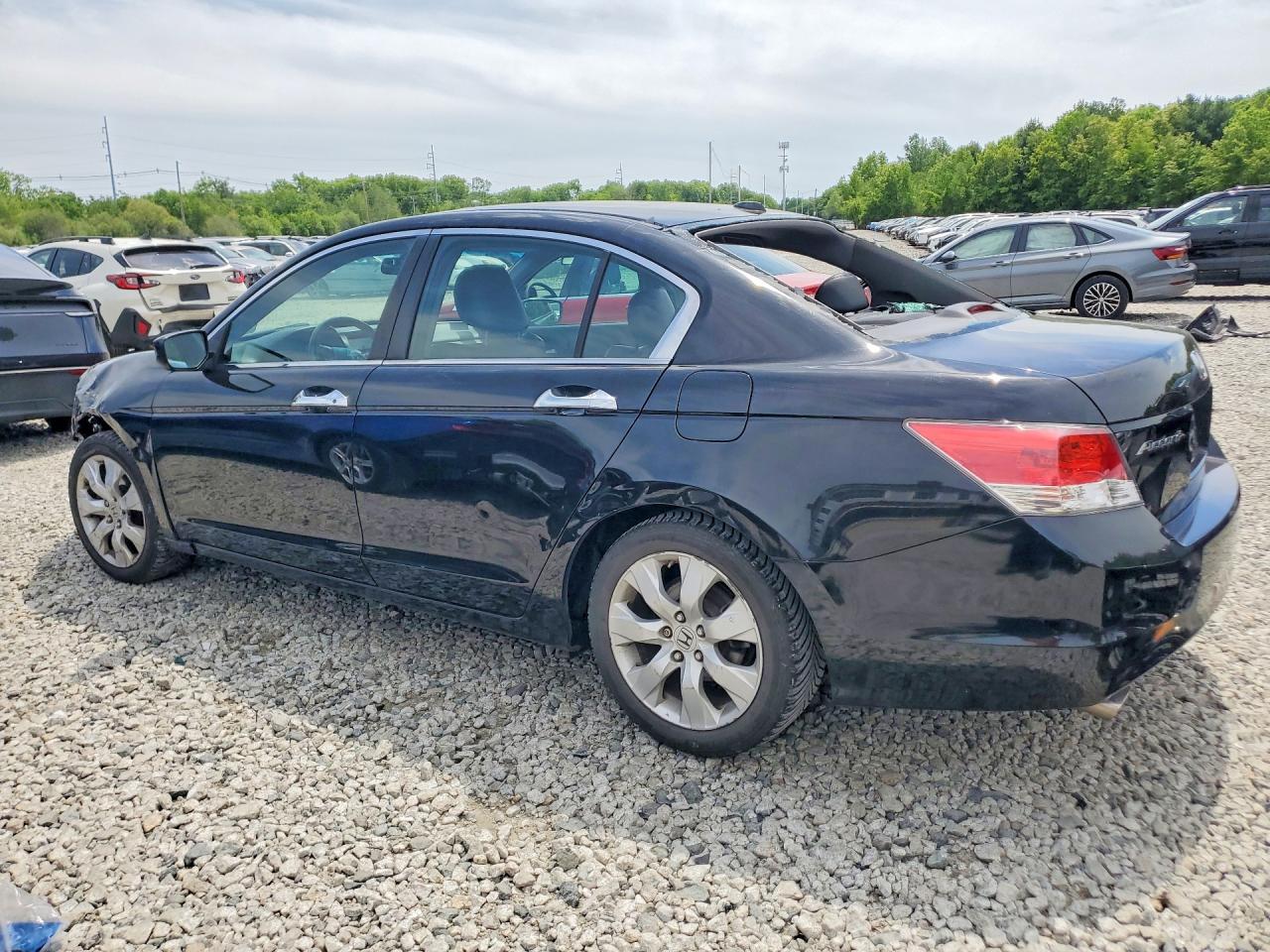 Honda Accord Exl