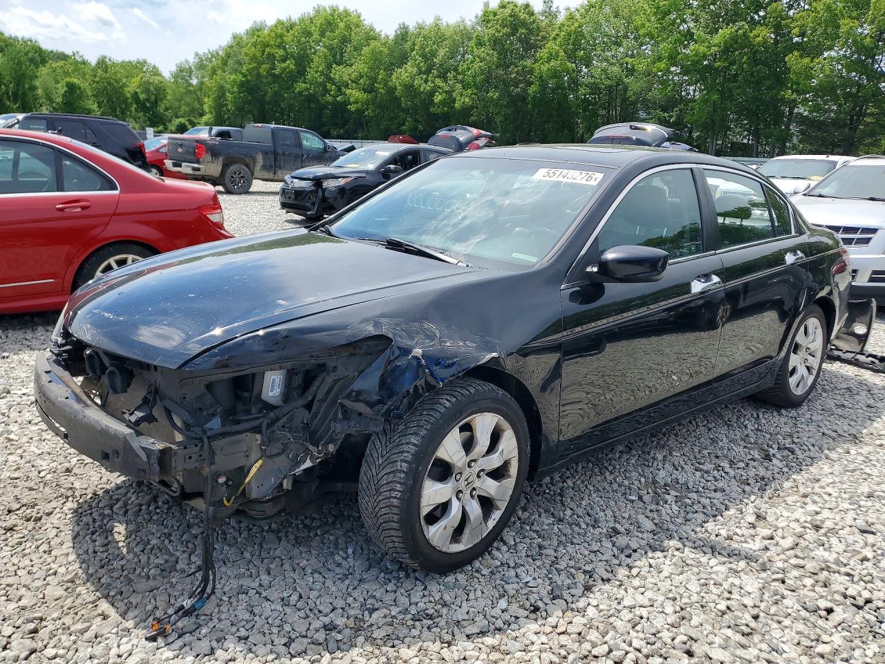 Salvage Honda Accord Image