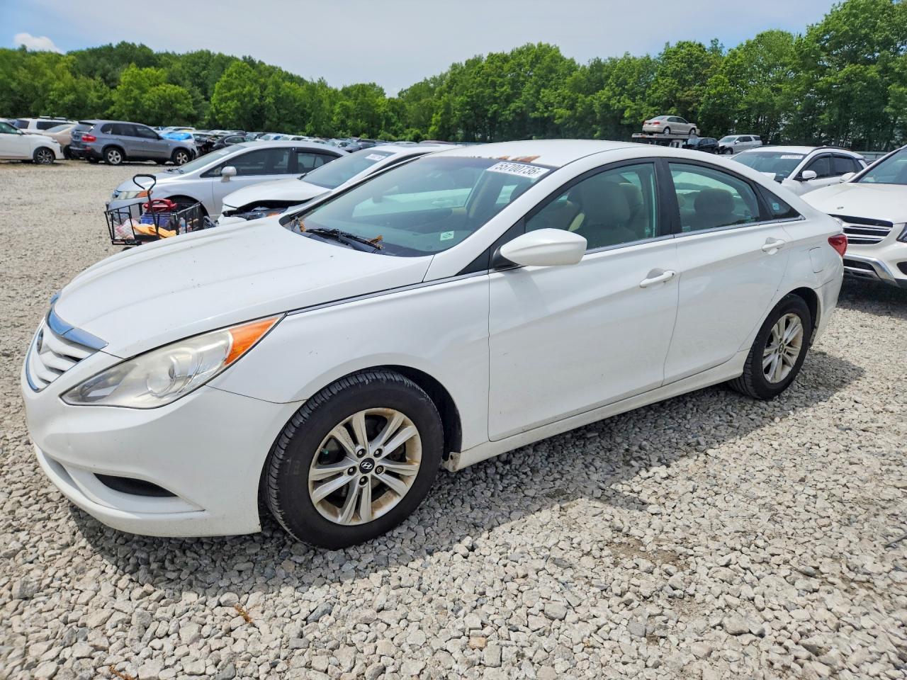 Salvage Hyundai SONATA Image