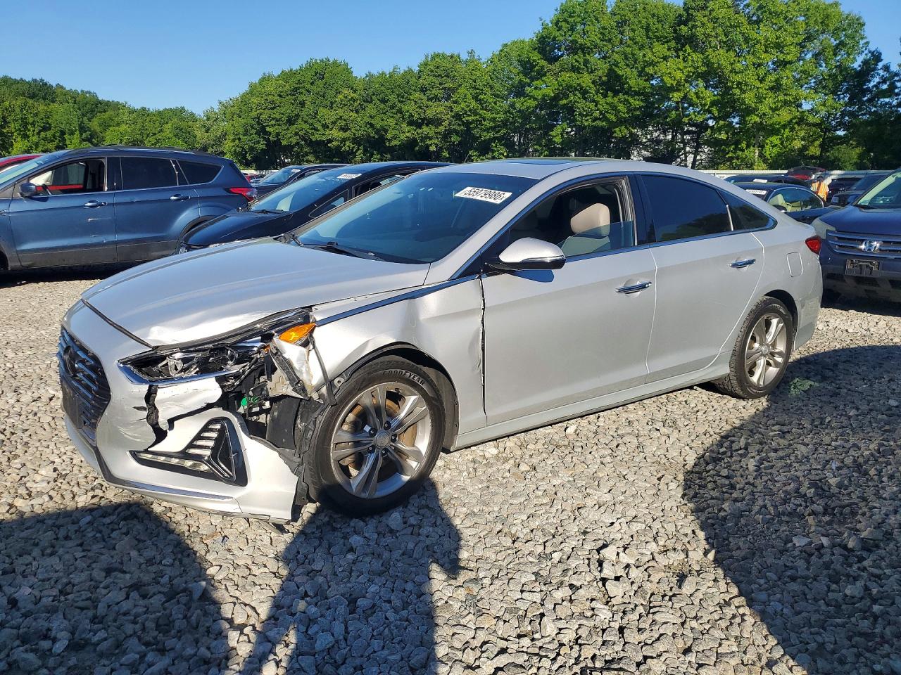 Salvage Hyundai SONATA Image