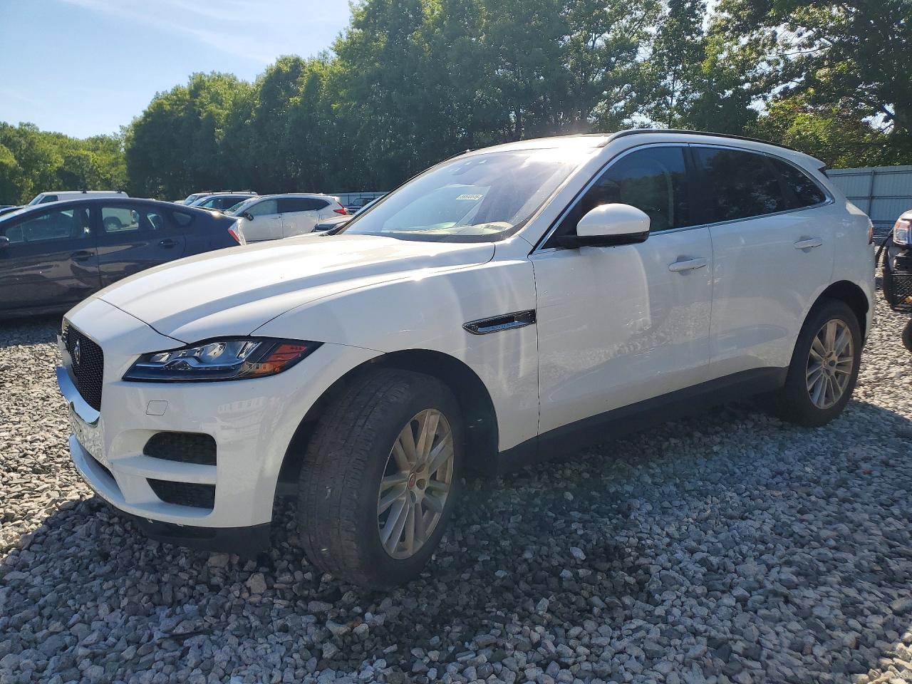 Salvage Jaguar F-PACE Image