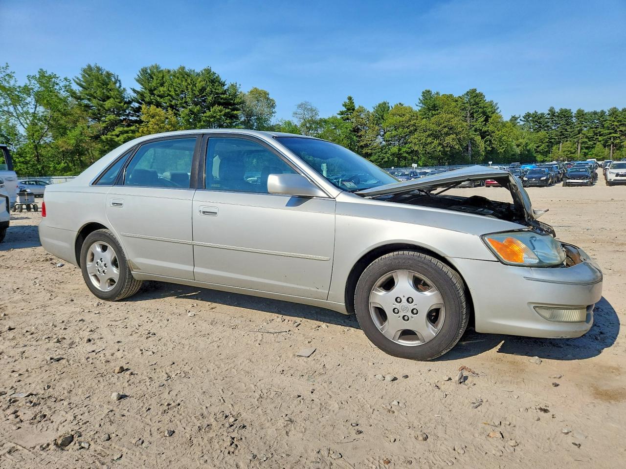 Toyota Avalon Xls