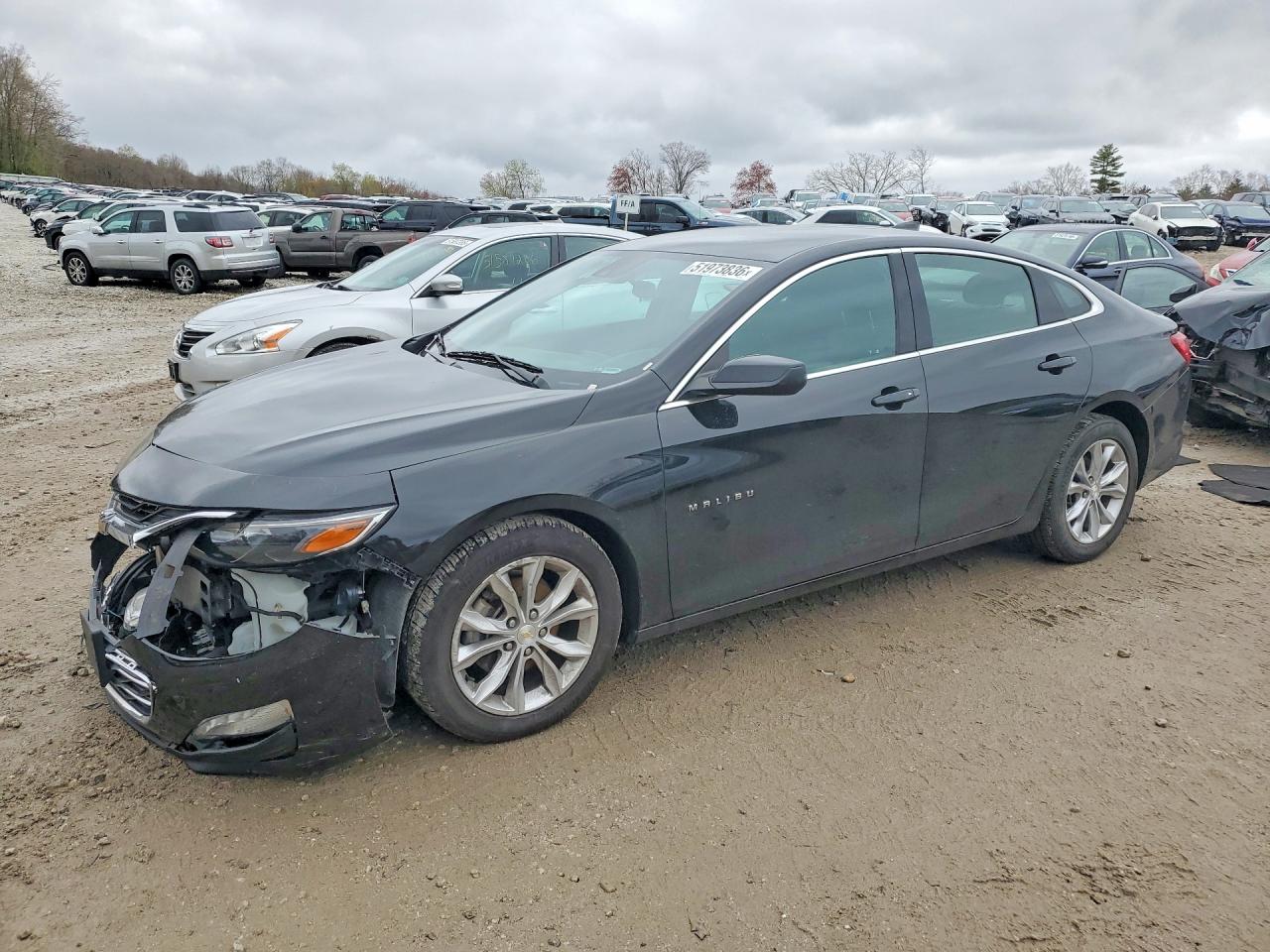 Salvage Chevrolet Malibu Image