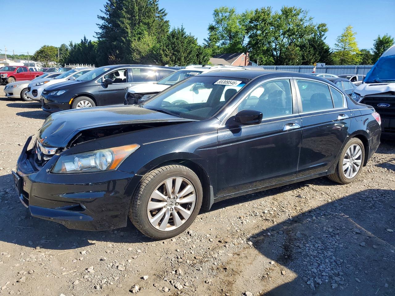 Salvage Honda Accord Image
