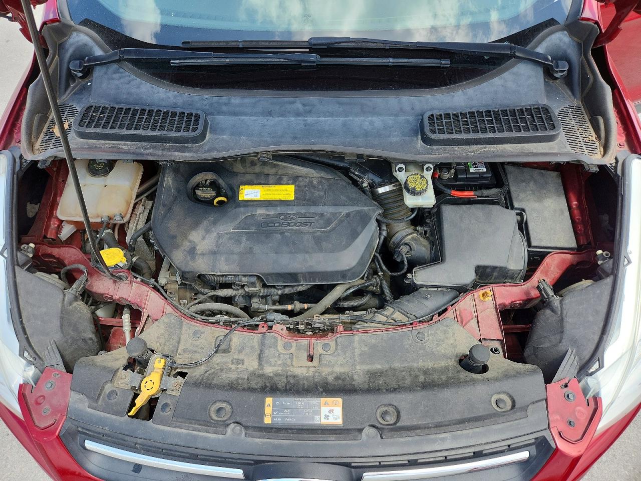 Ford Escape Se