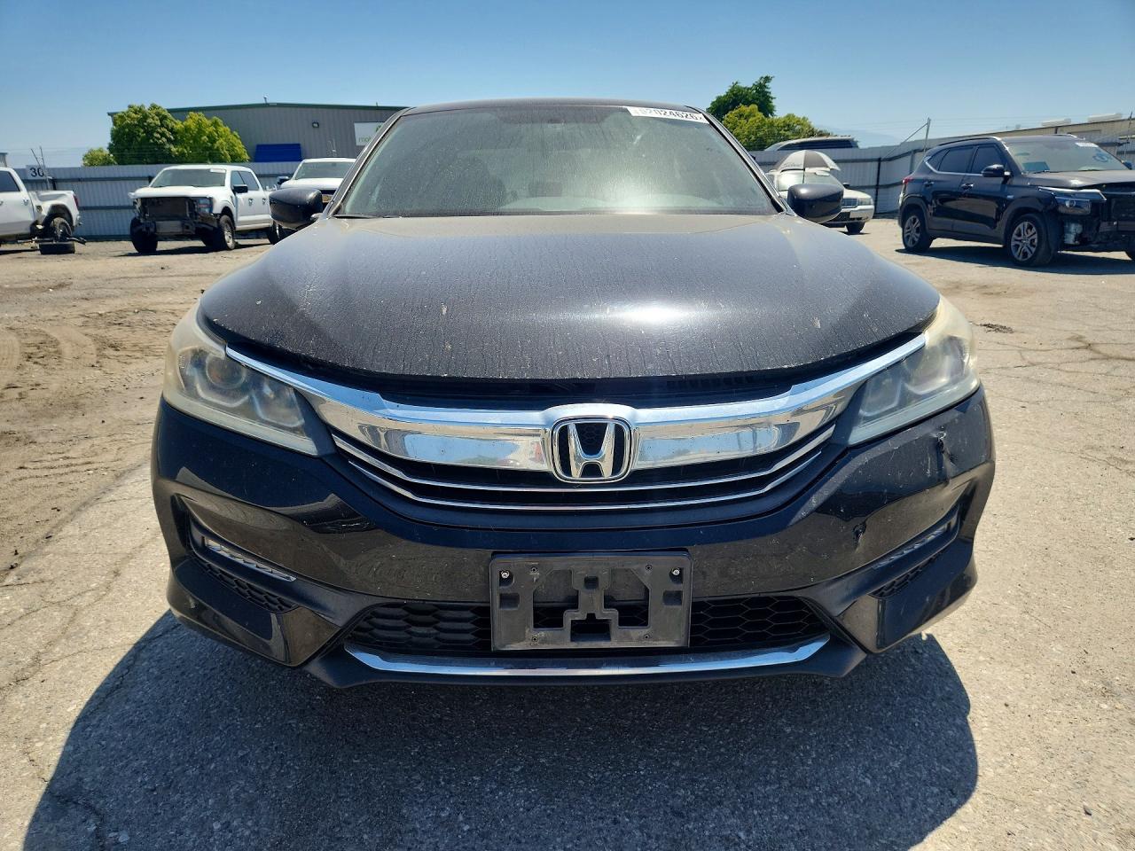 Honda Accord Sport Special Edition