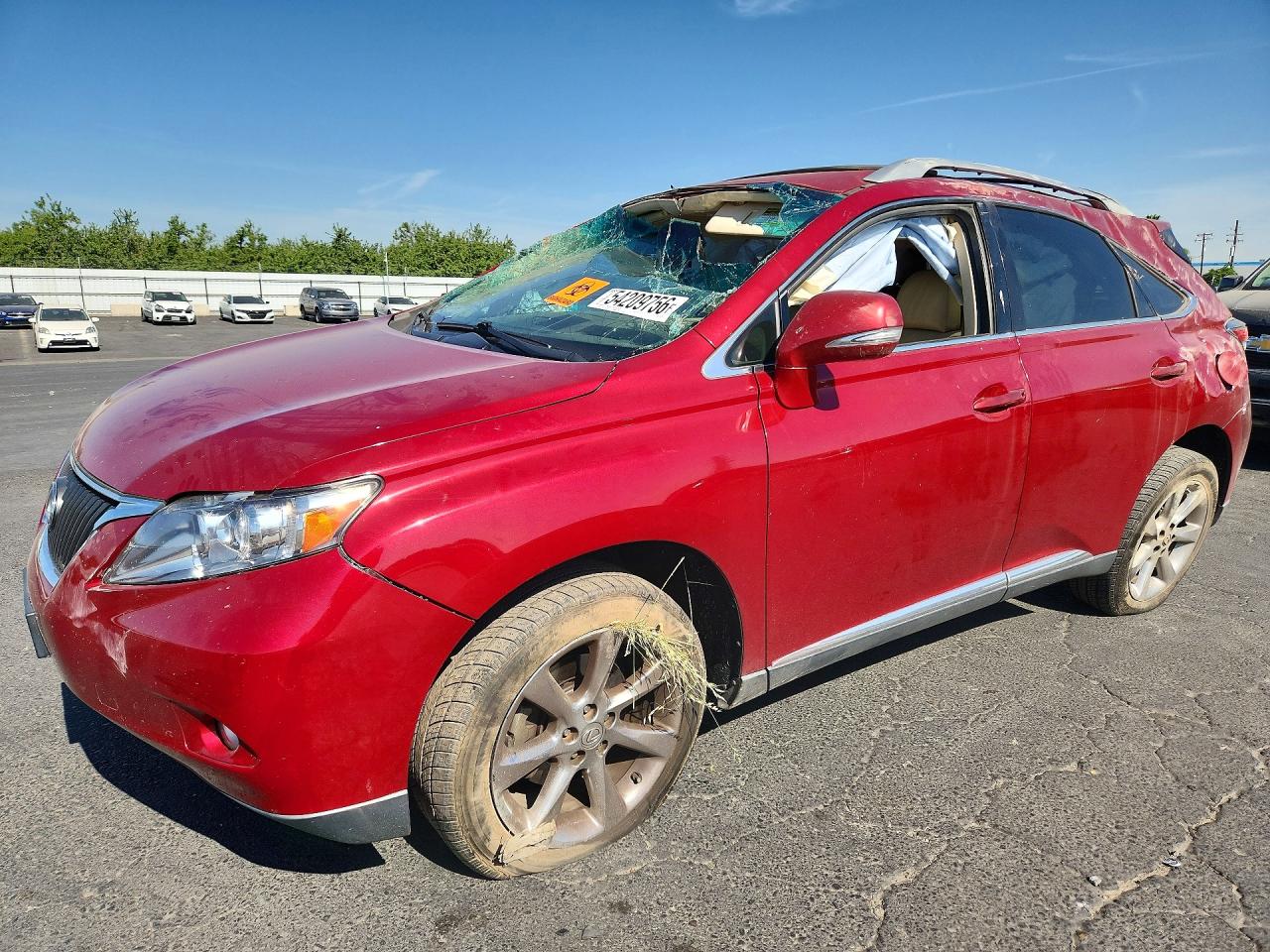 Salvage Lexus RX Image