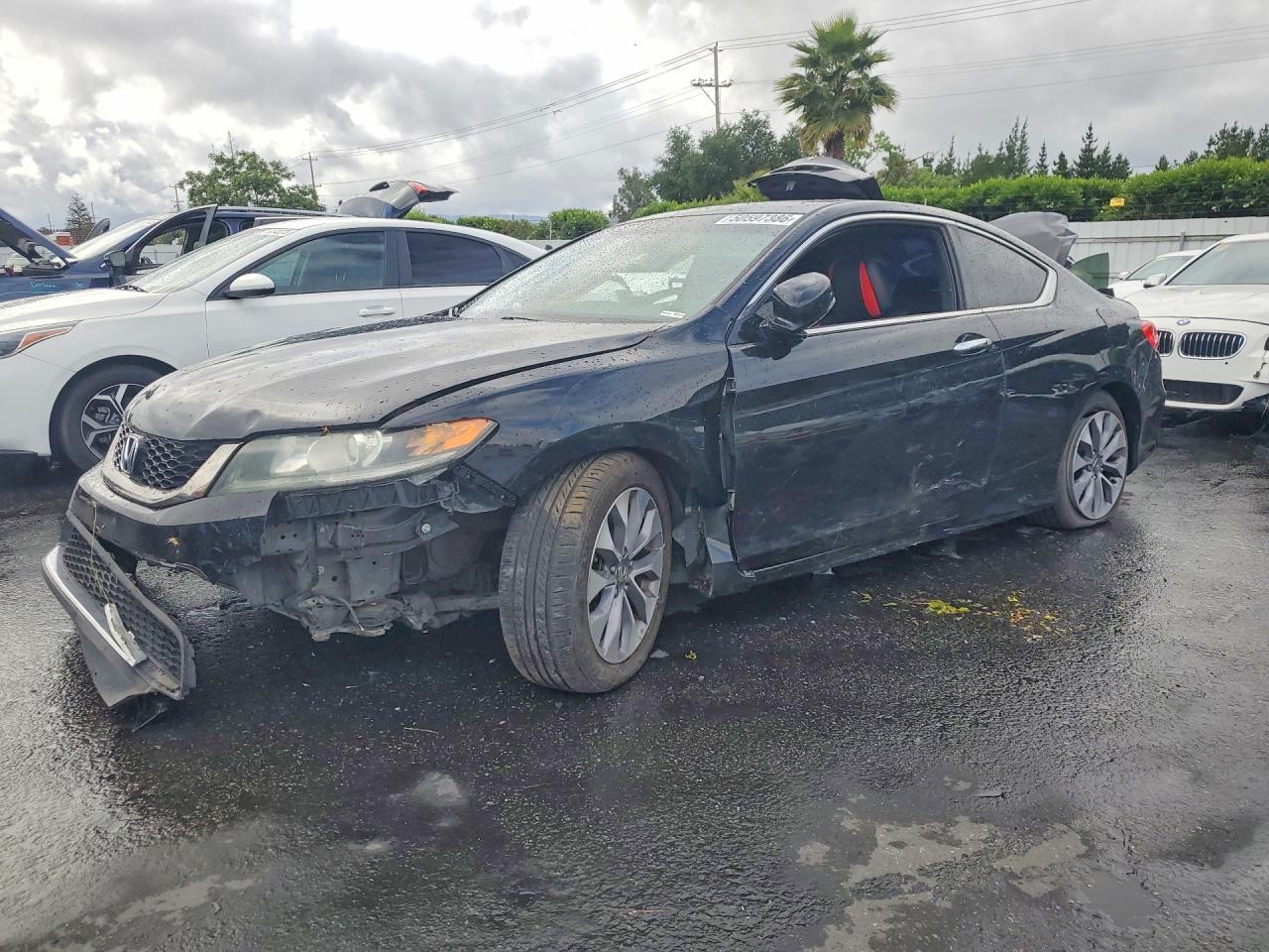 Salvage Honda Accord Image