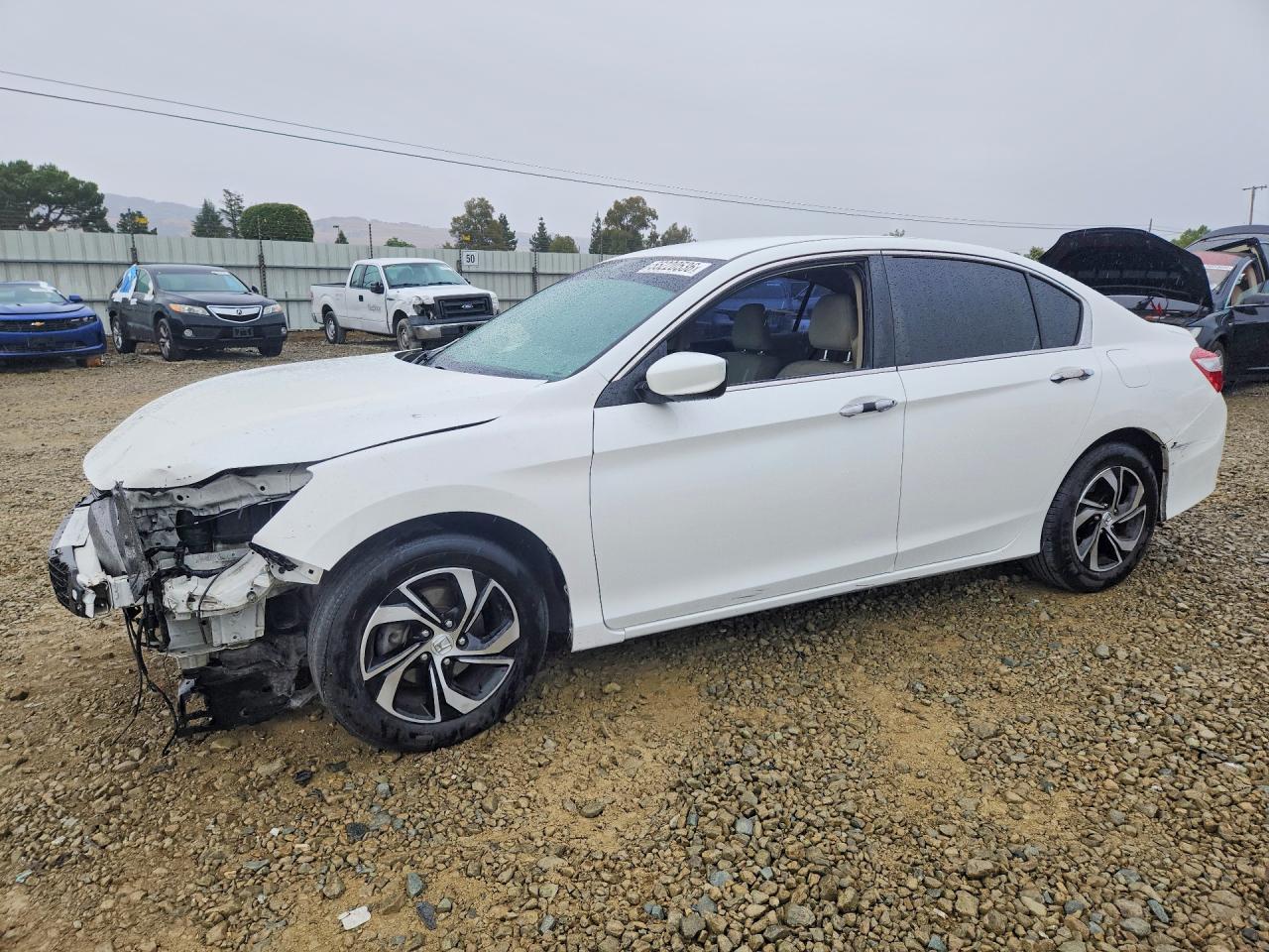Salvage Honda Accord Image
