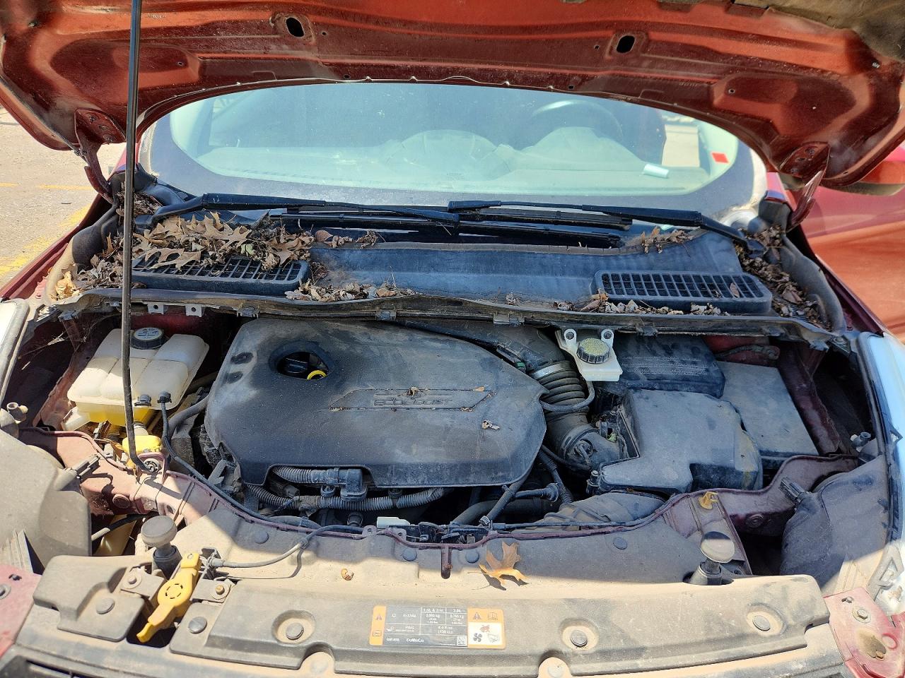Ford Escape Se