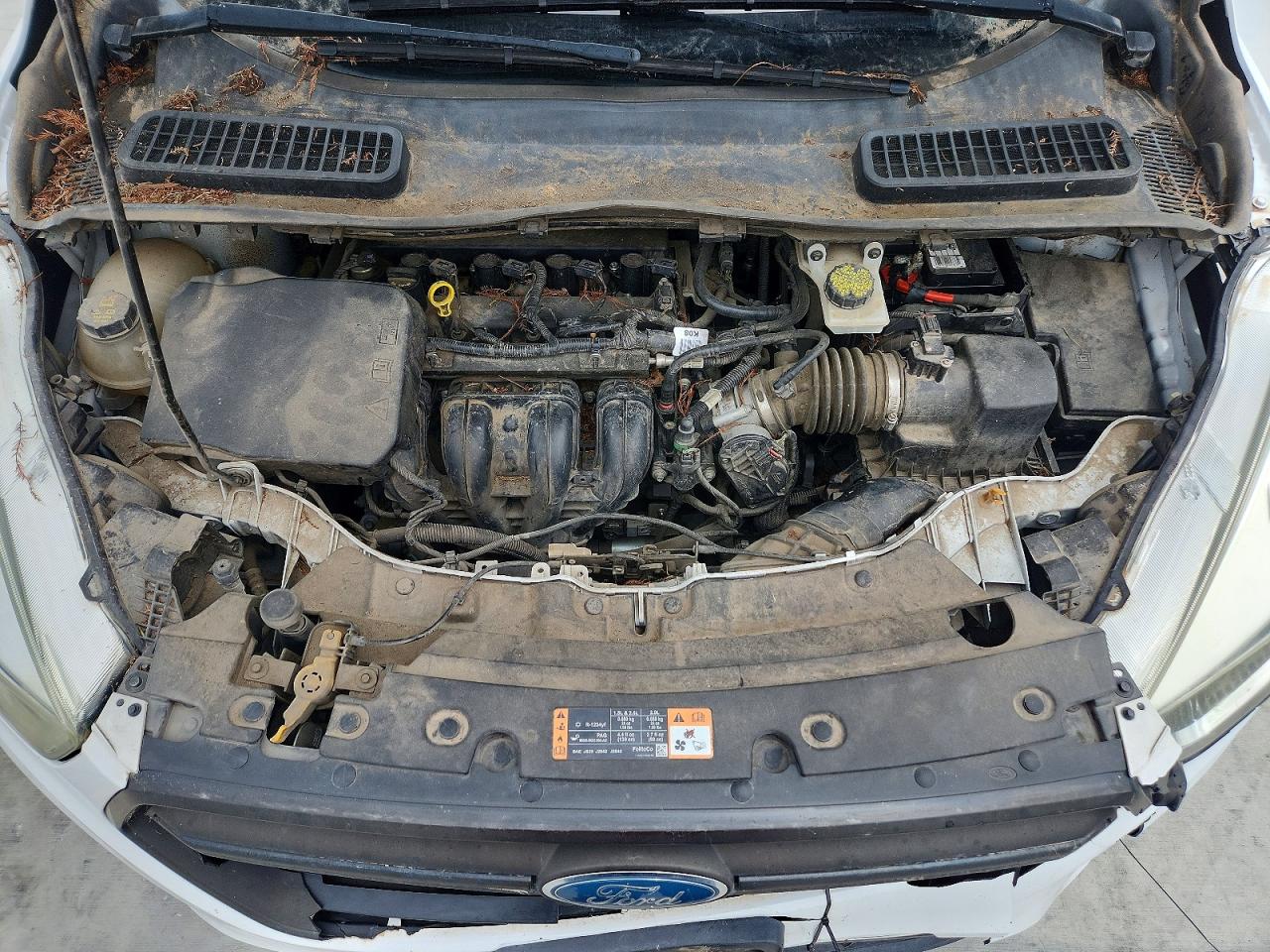 Ford Escape S