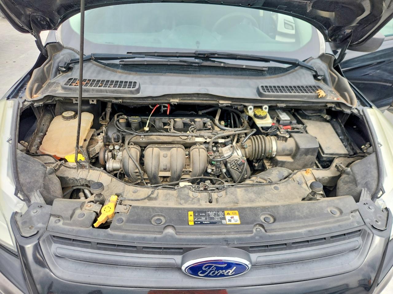 Ford Escape S