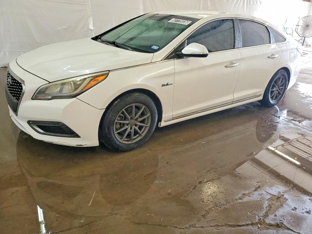 Salvage Hyundai SONATA Image