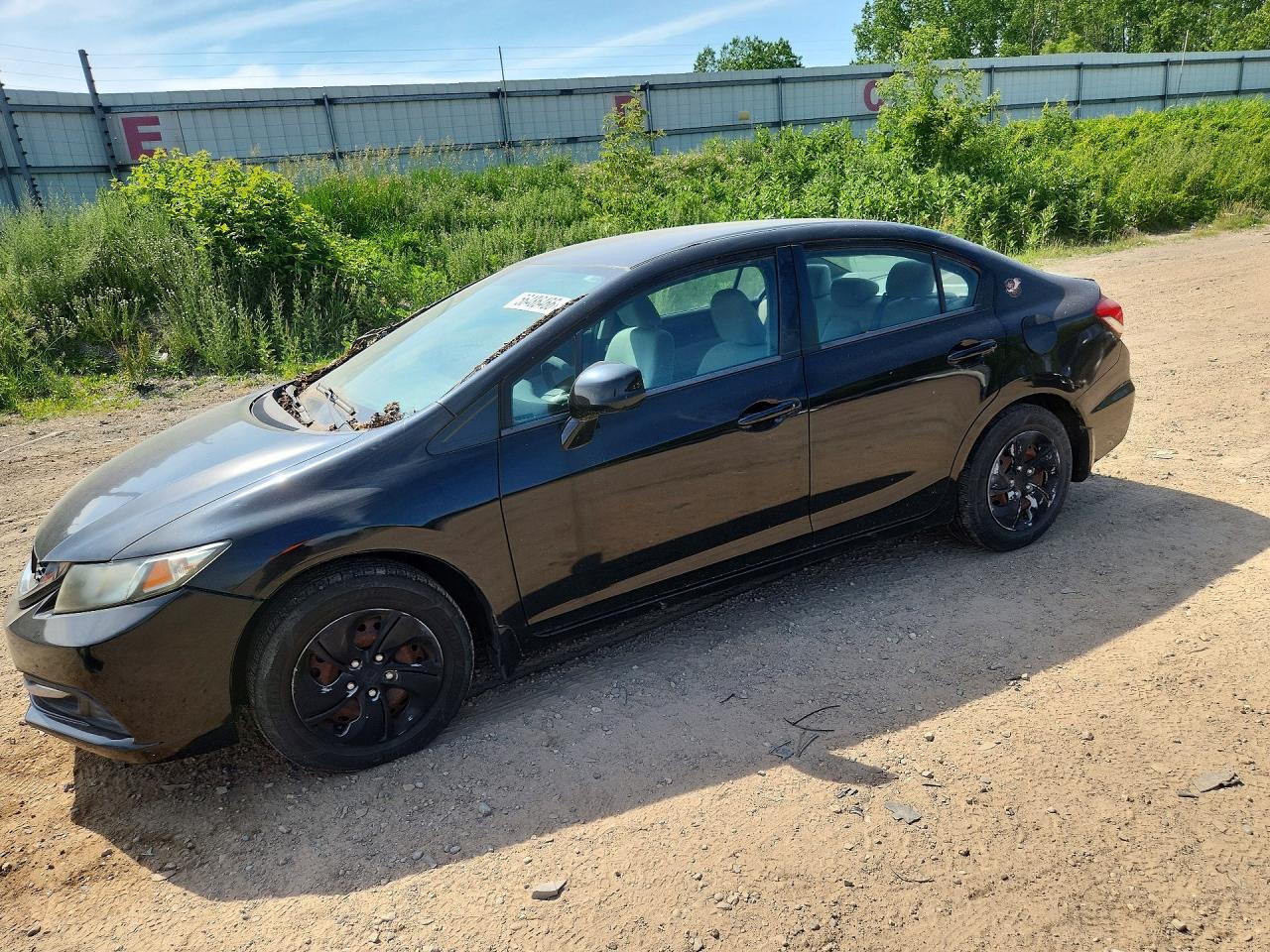 Salvage Honda Civic Image