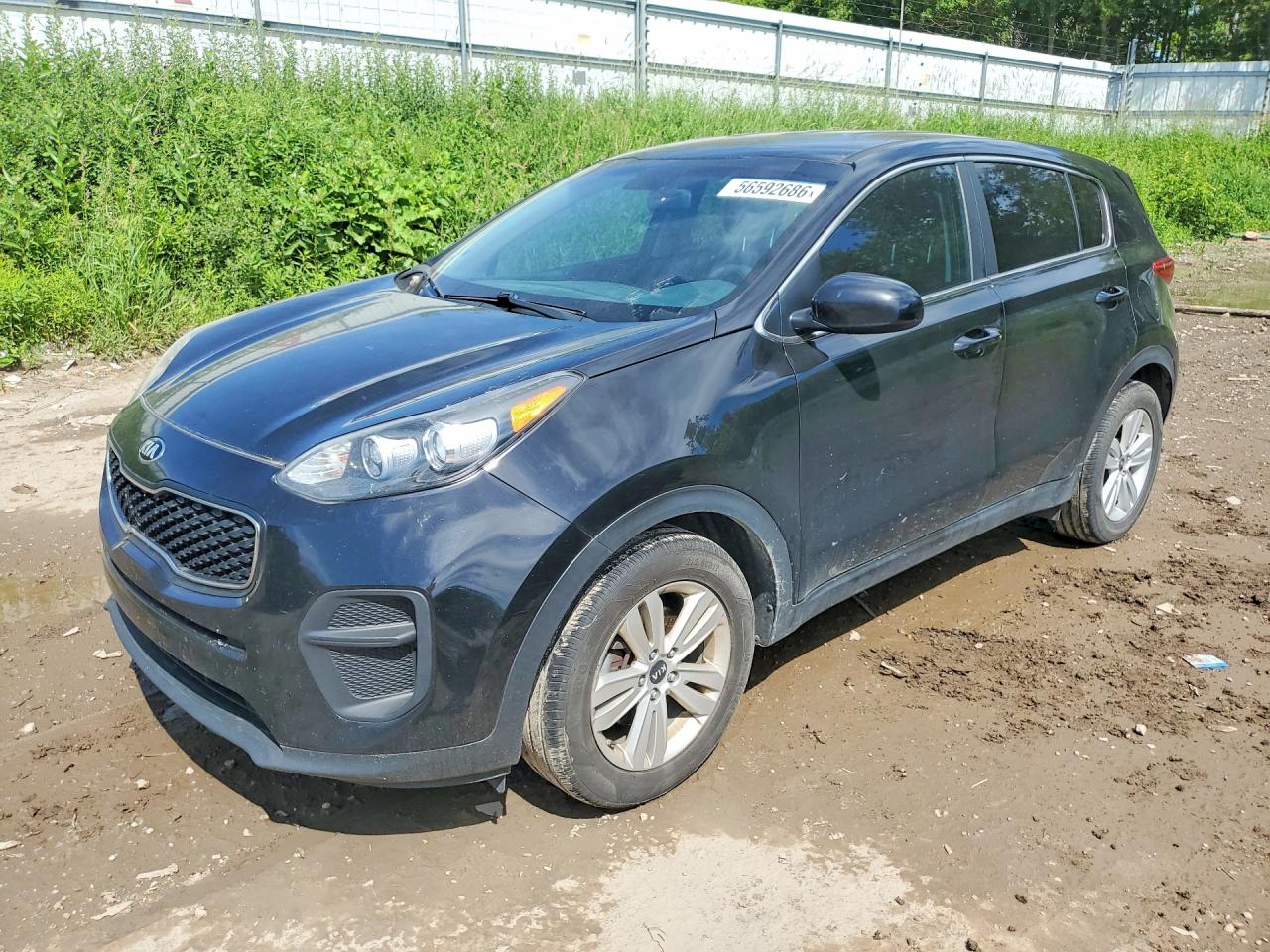 Salvage Kia Sportage Image