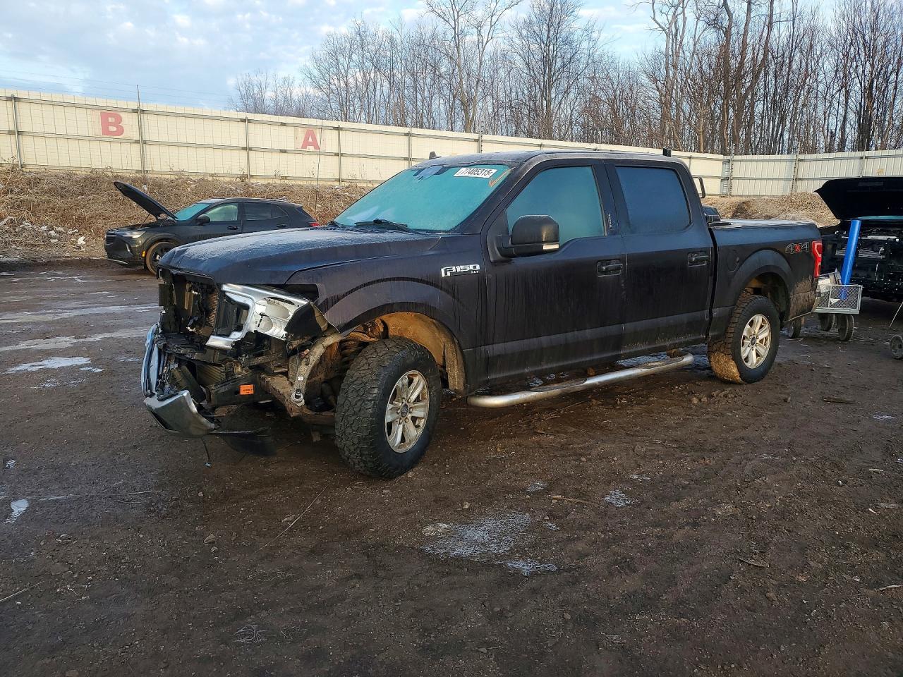 Salvage Ford F-150 Image