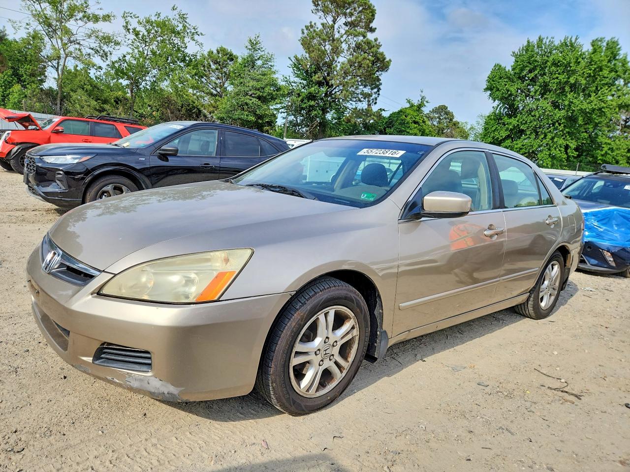 Salvage Honda Accord Image