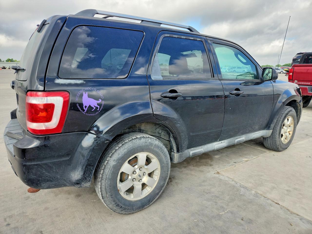 Ford Escape