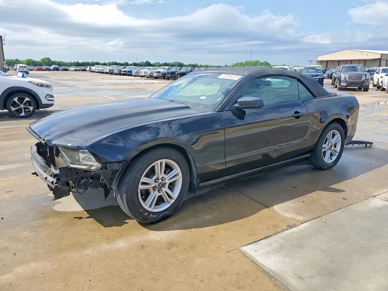 Salvage Ford Mustang Image