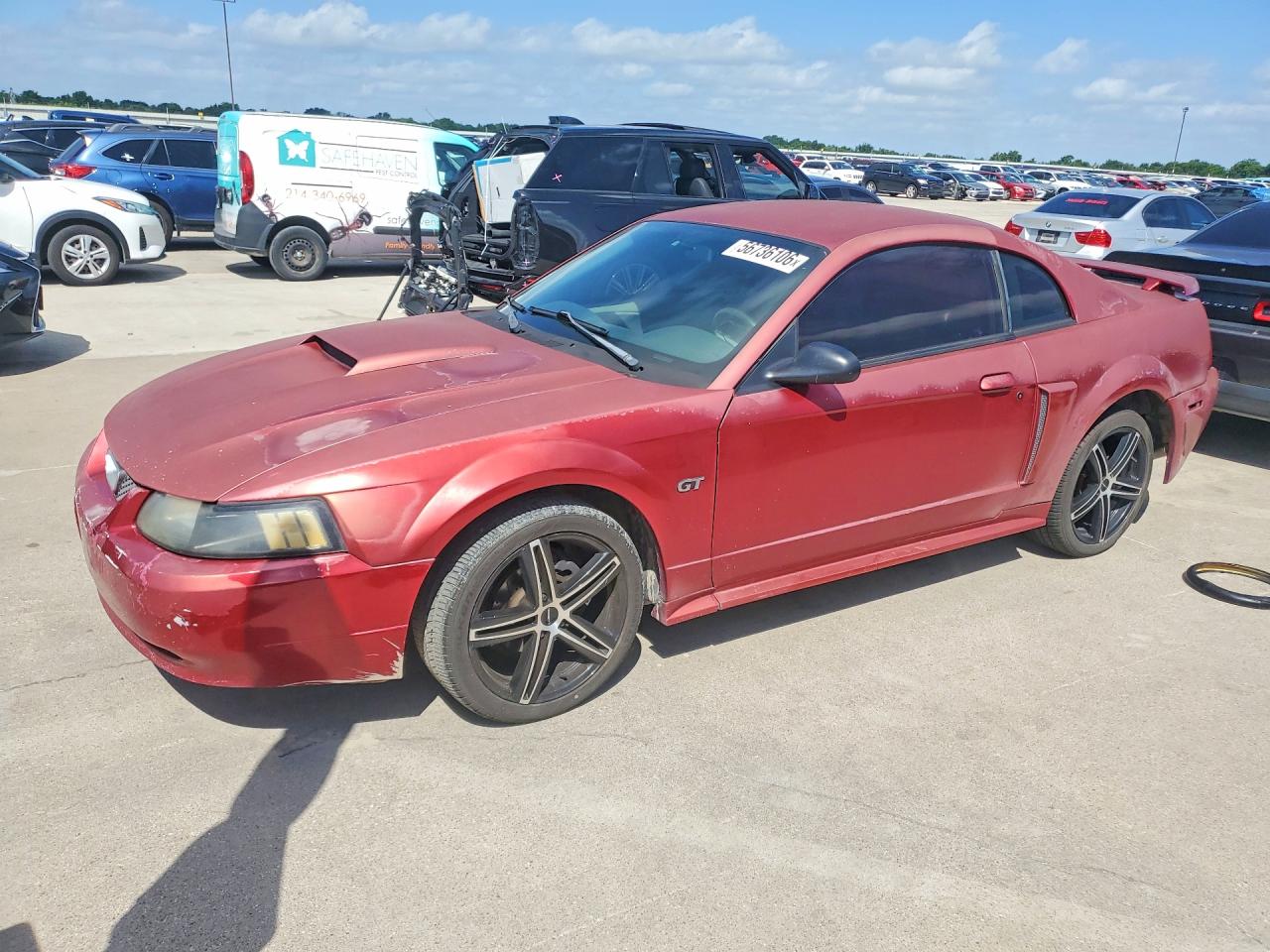 Salvage Ford Mustang Image