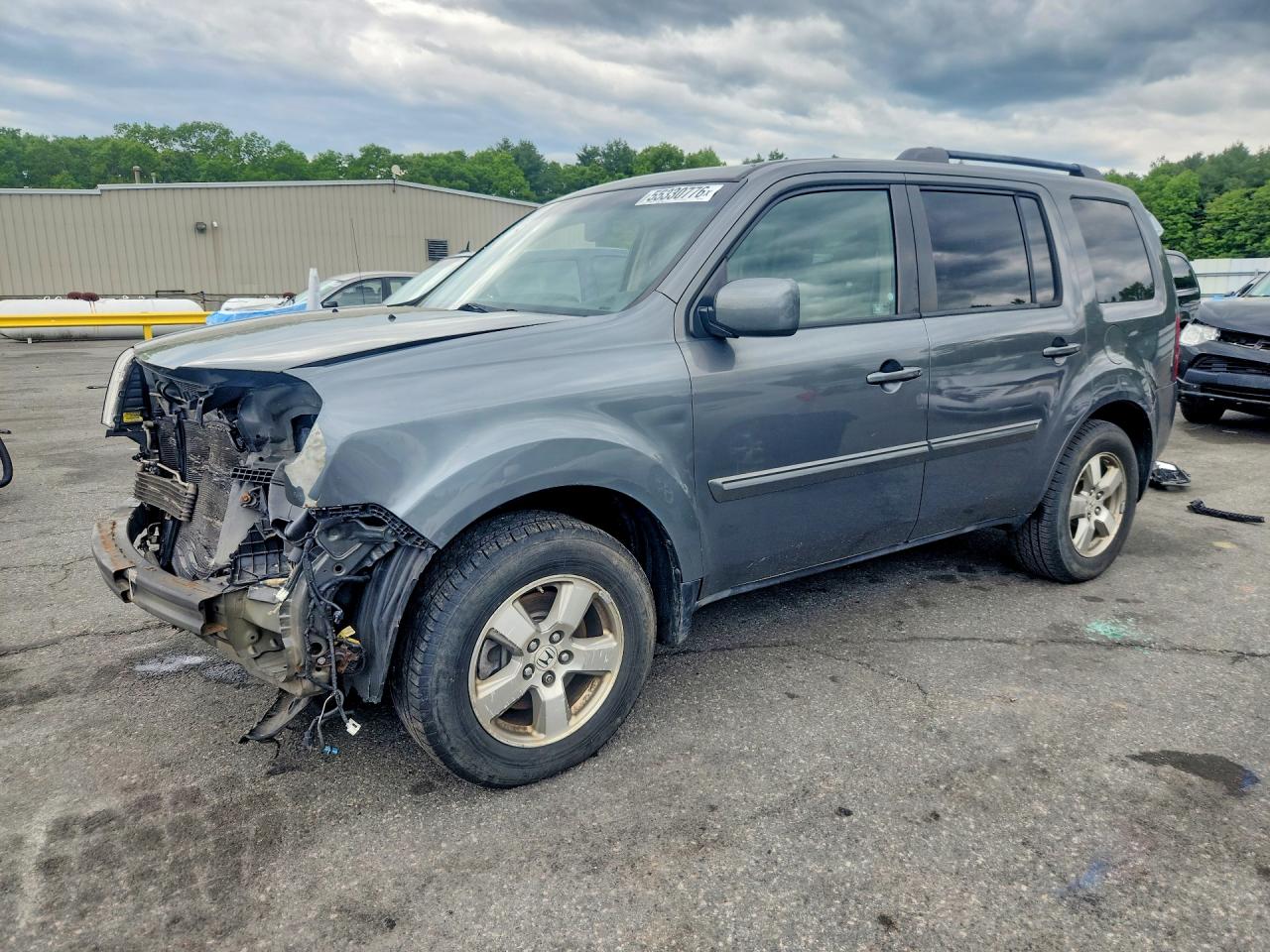 Salvage Honda Pilot Image