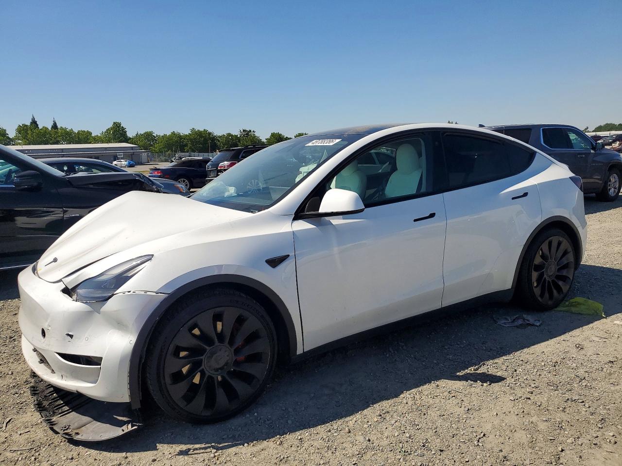 Salvage Tesla Model Y Image
