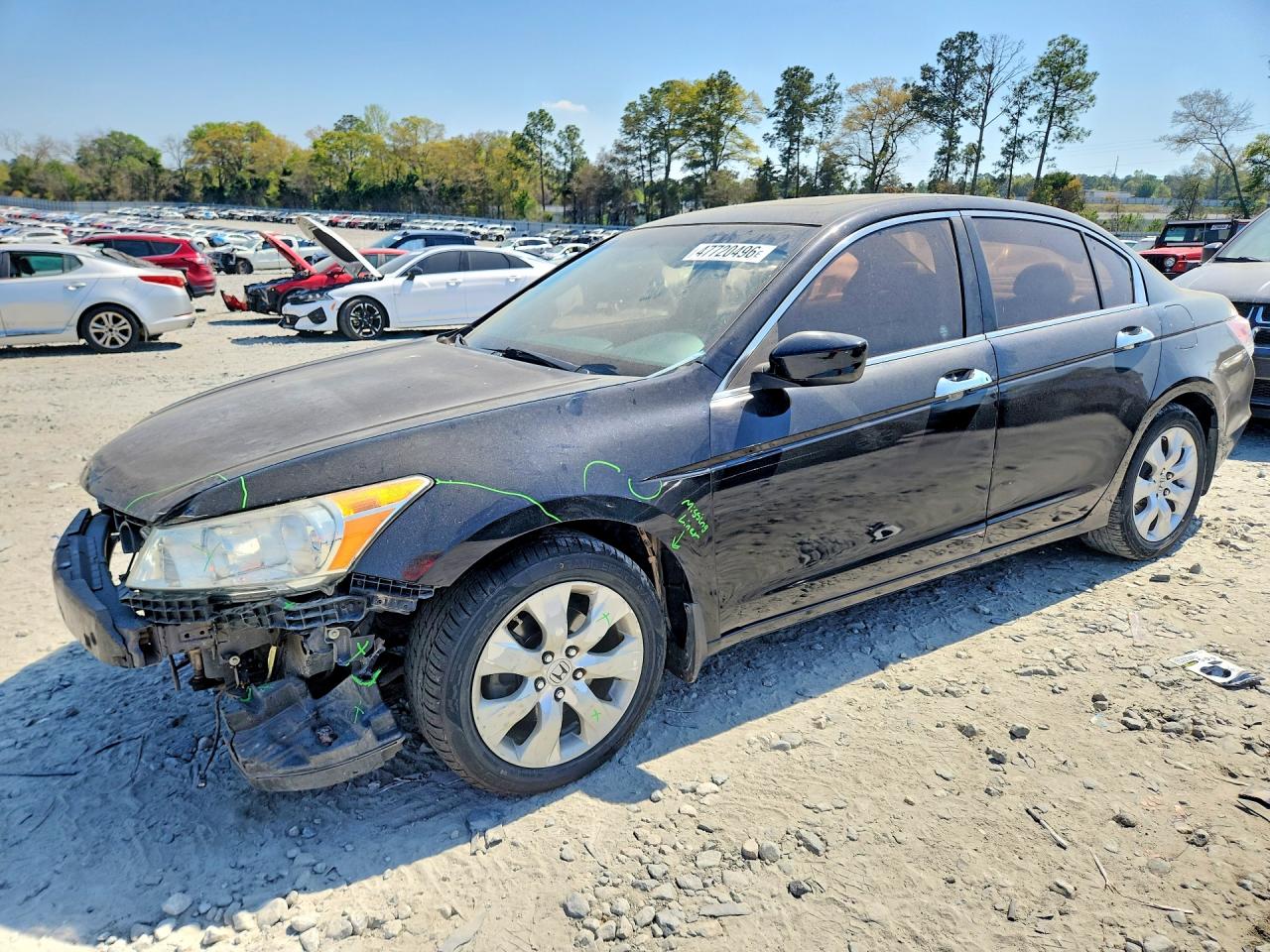 Salvage Honda Accord Image