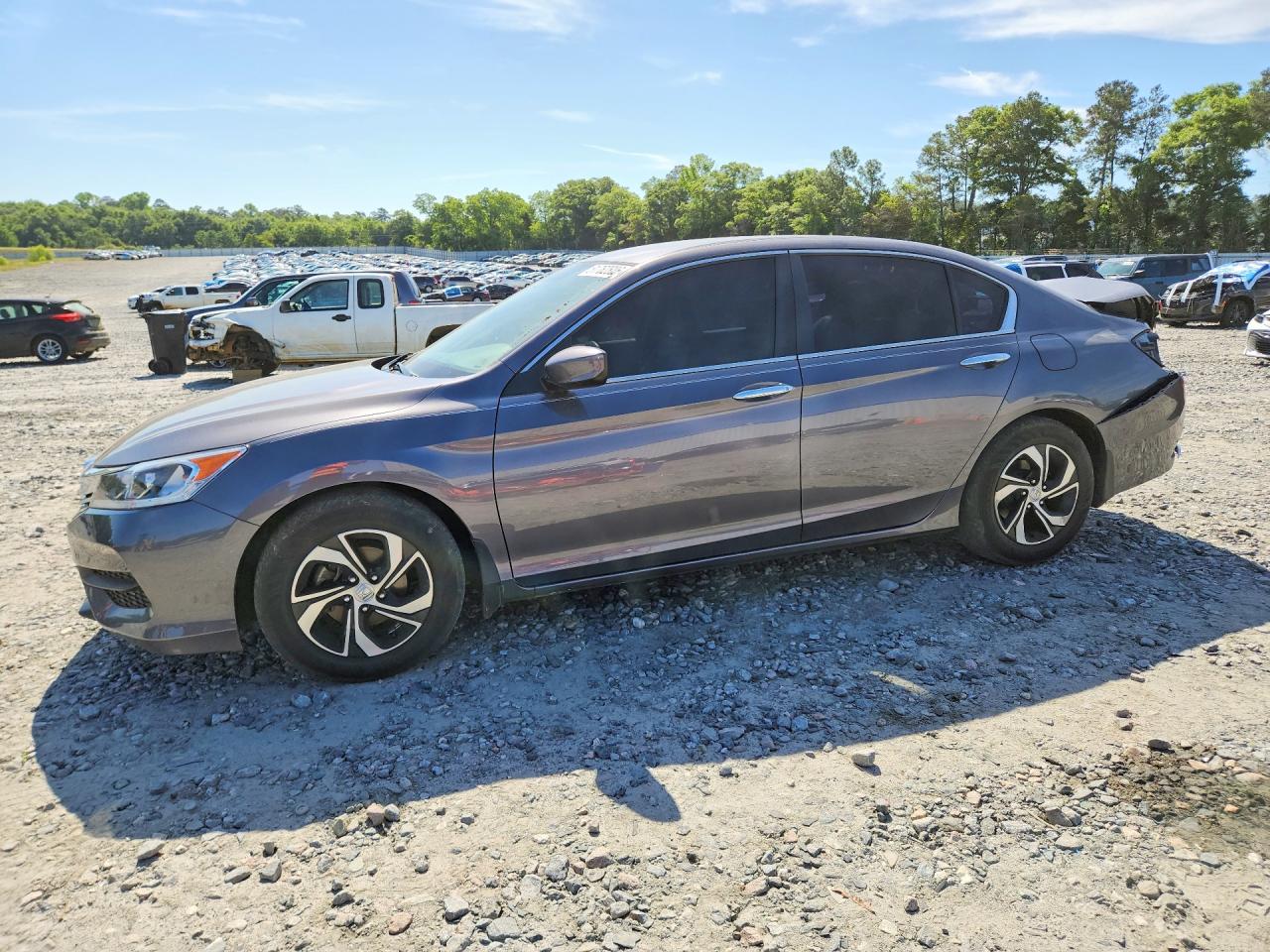 Salvage Honda Accord Image