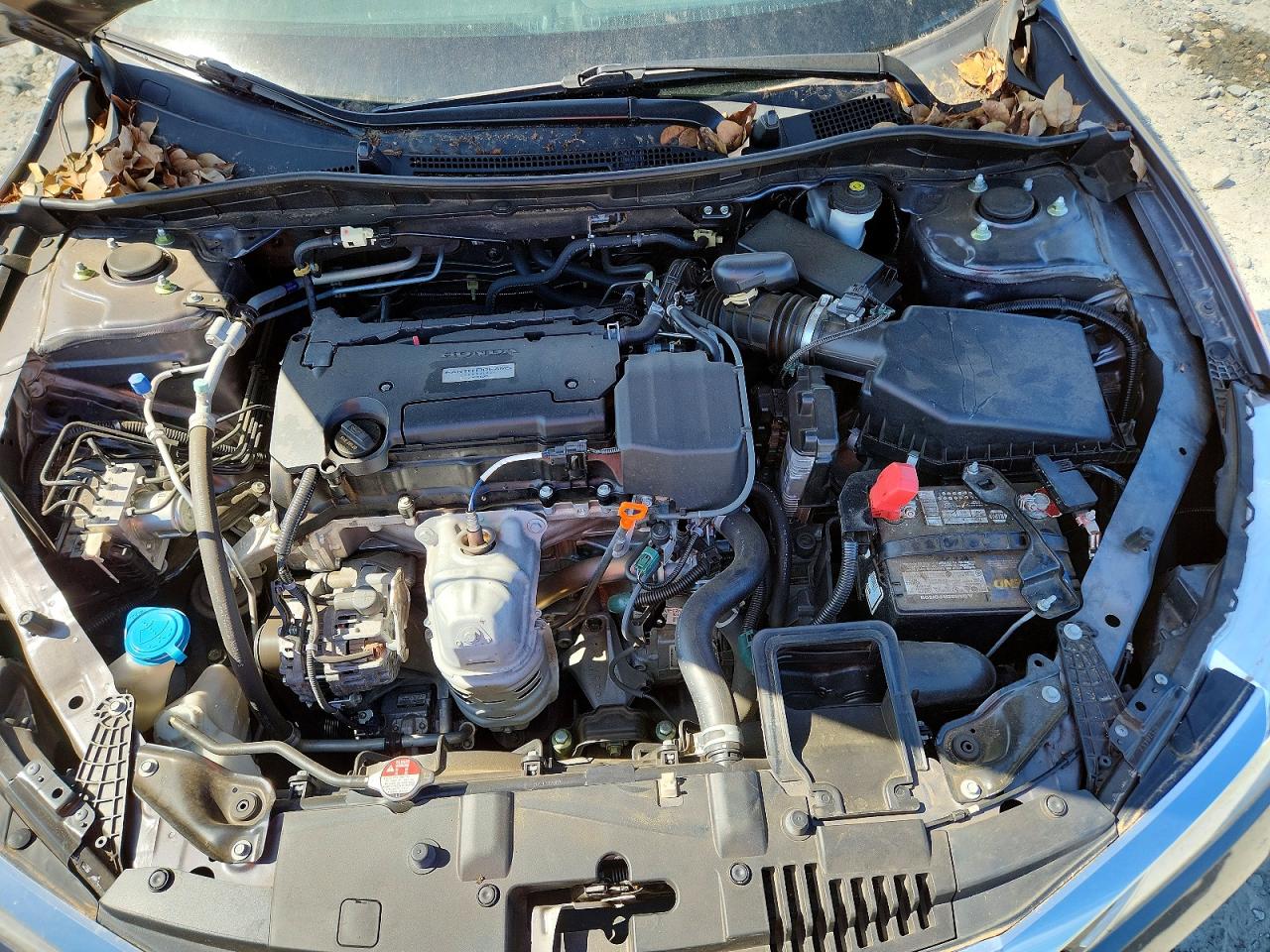 Honda Accord Lx