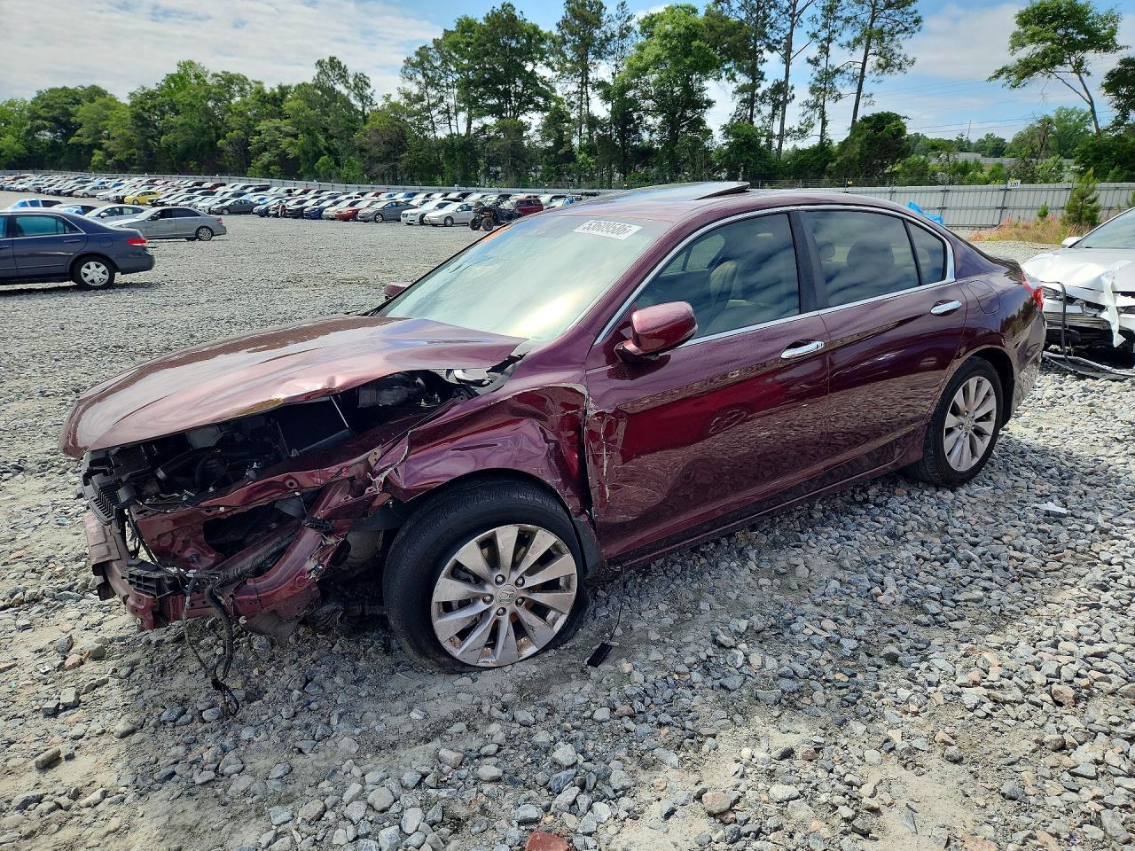 Salvage Honda Accord Image