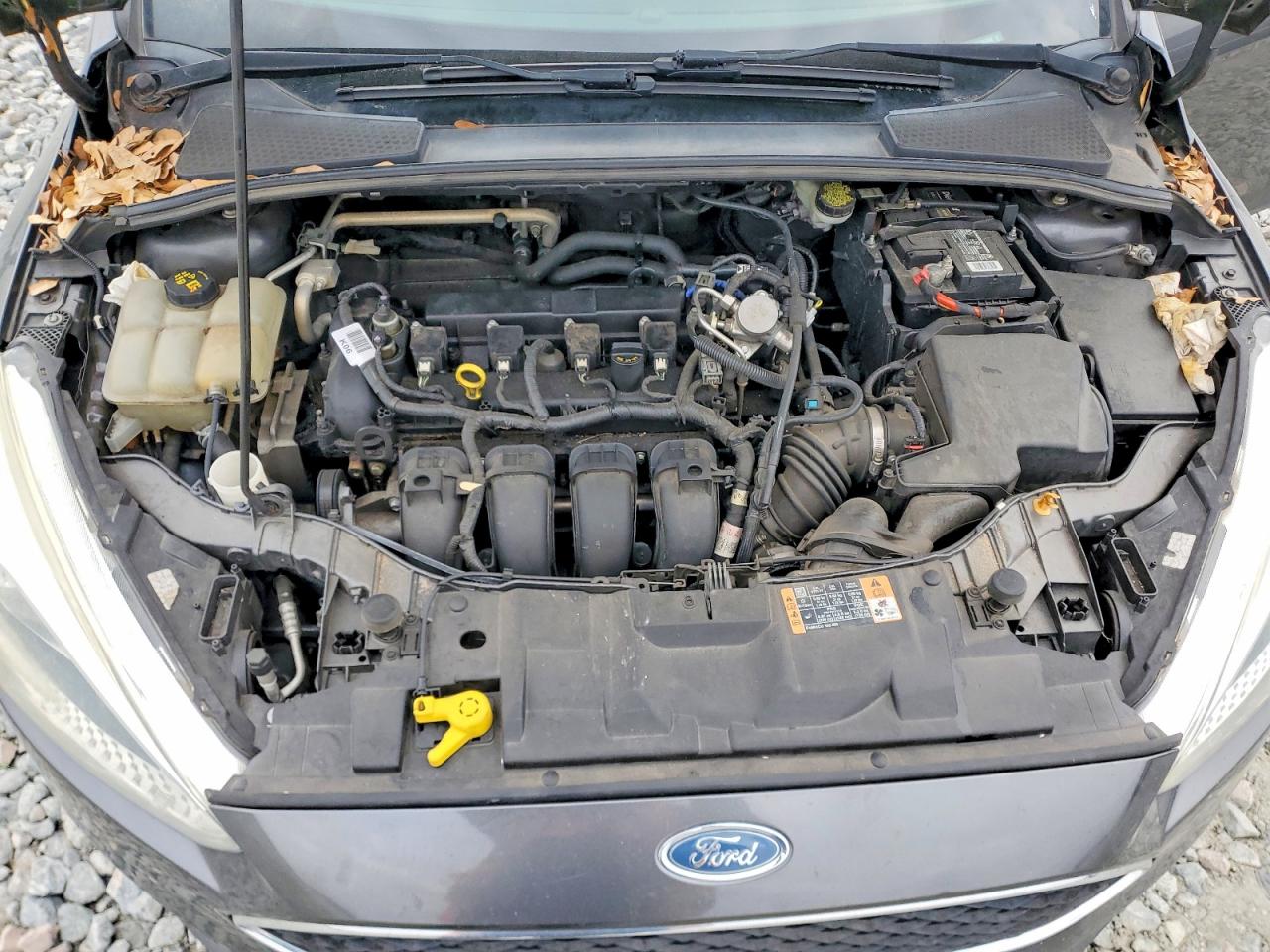 Ford Focus Se